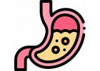 Stomacul și digestia