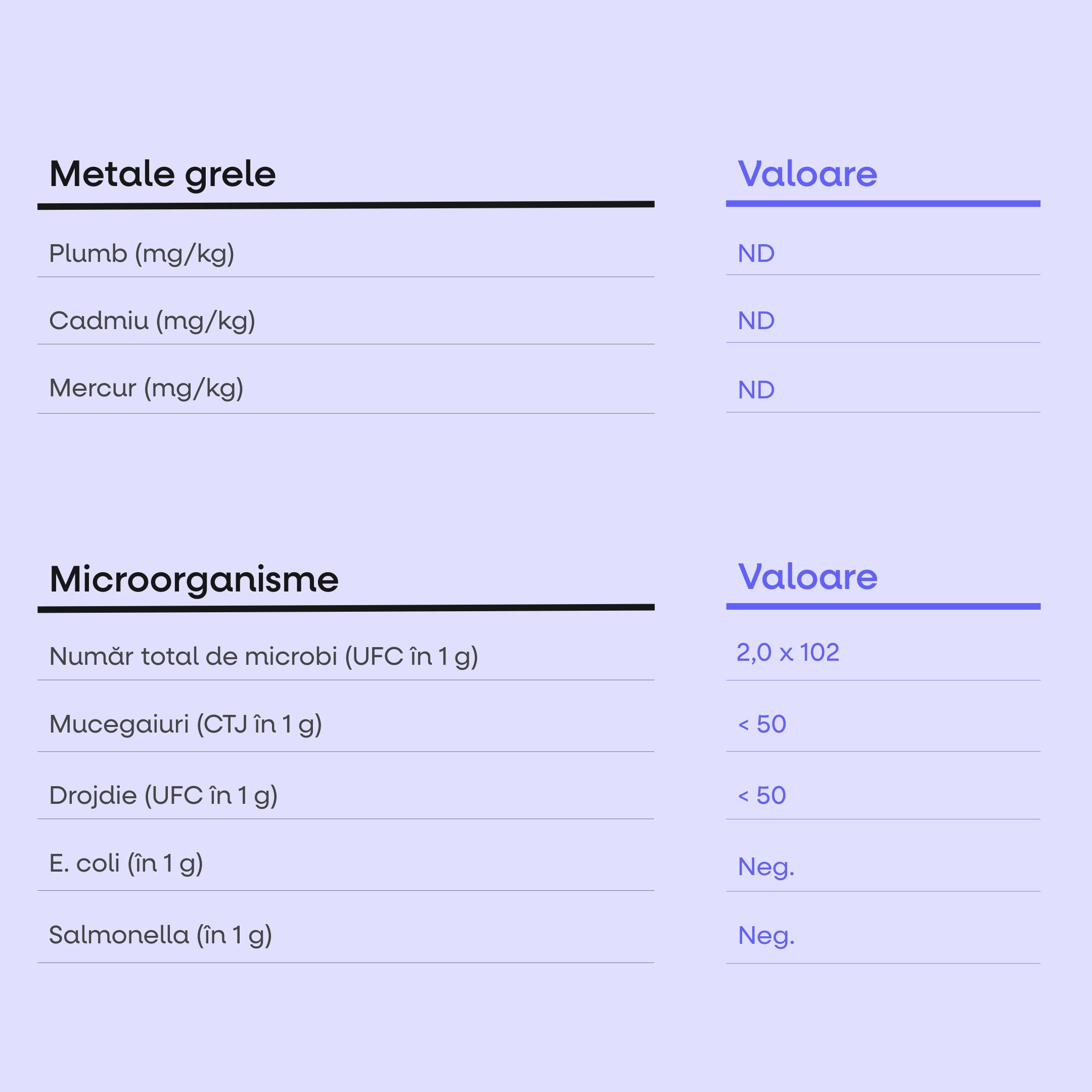 Blueberry Cheesecake Protein Bar