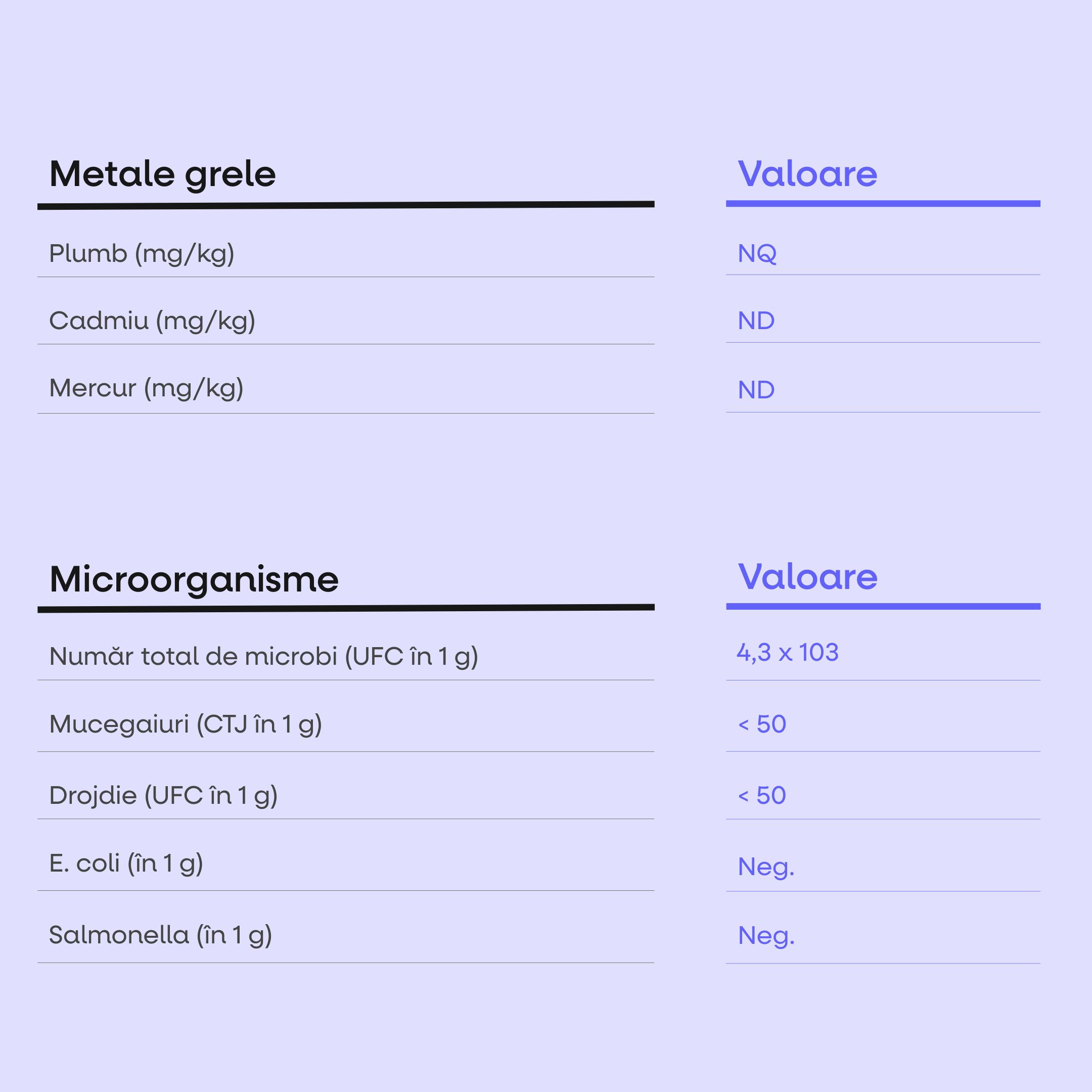 Milky Caramel Protein Bar