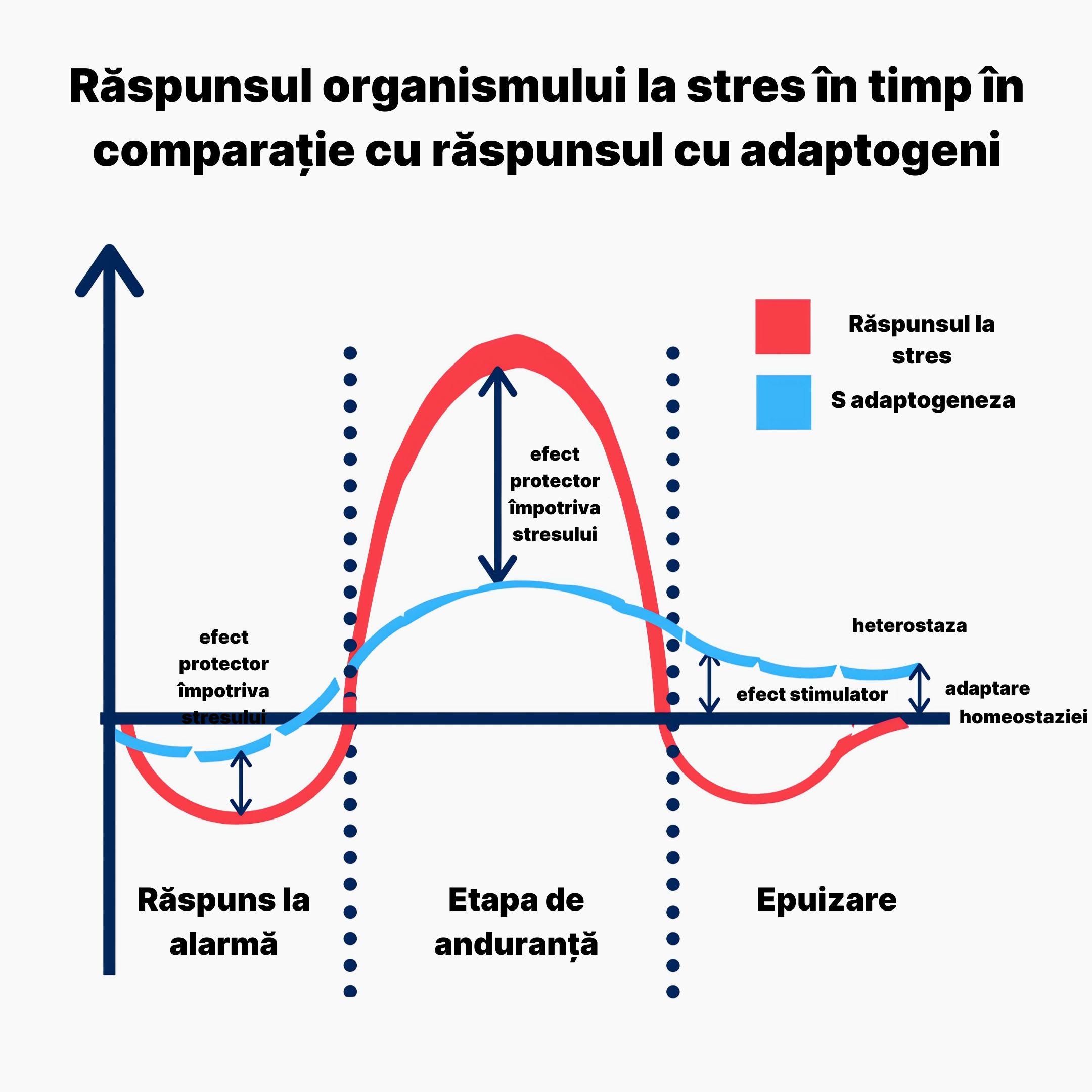 sleep magnesium relax