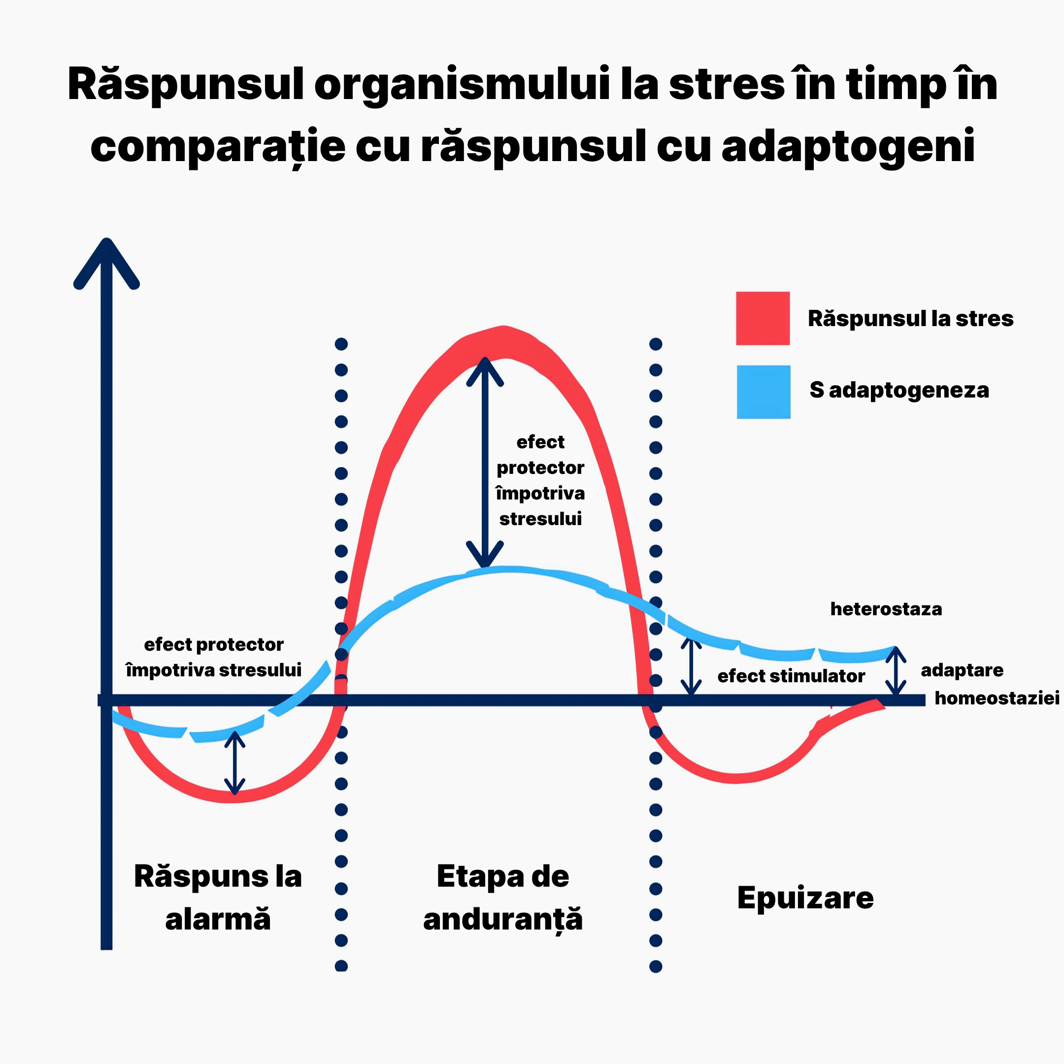 sleep magnesium relax