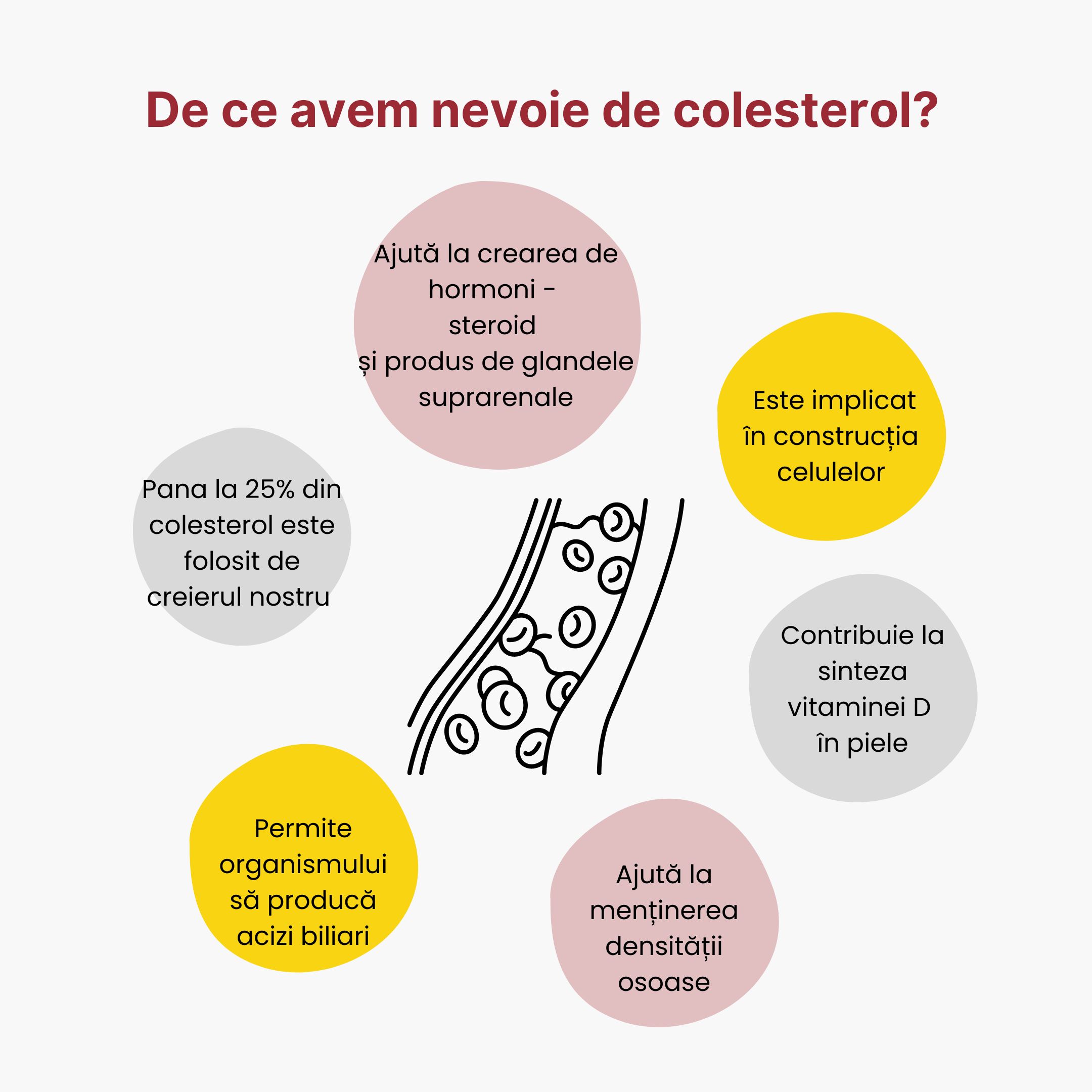 (Rumunština) Proč potřebujeme cholesterol