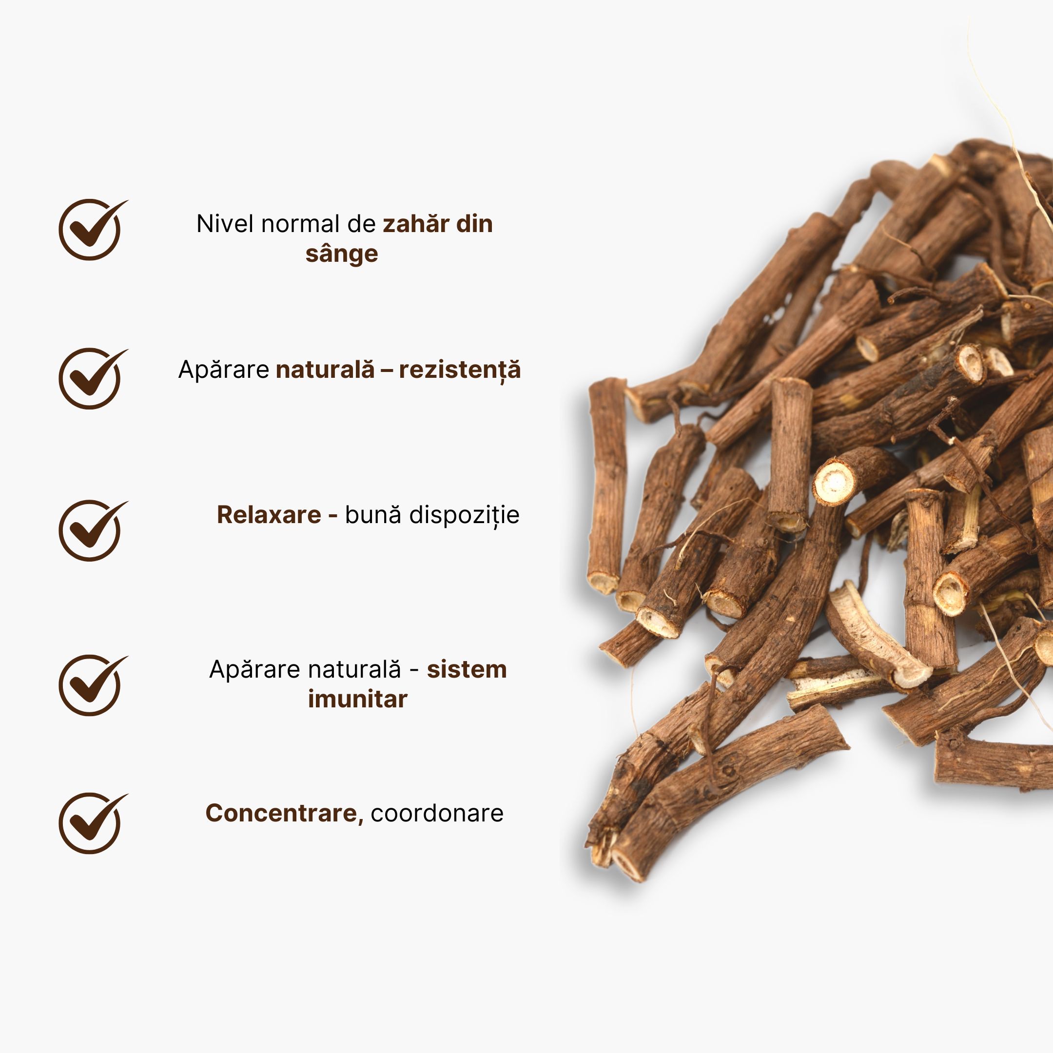 sibirsky zensen infografika