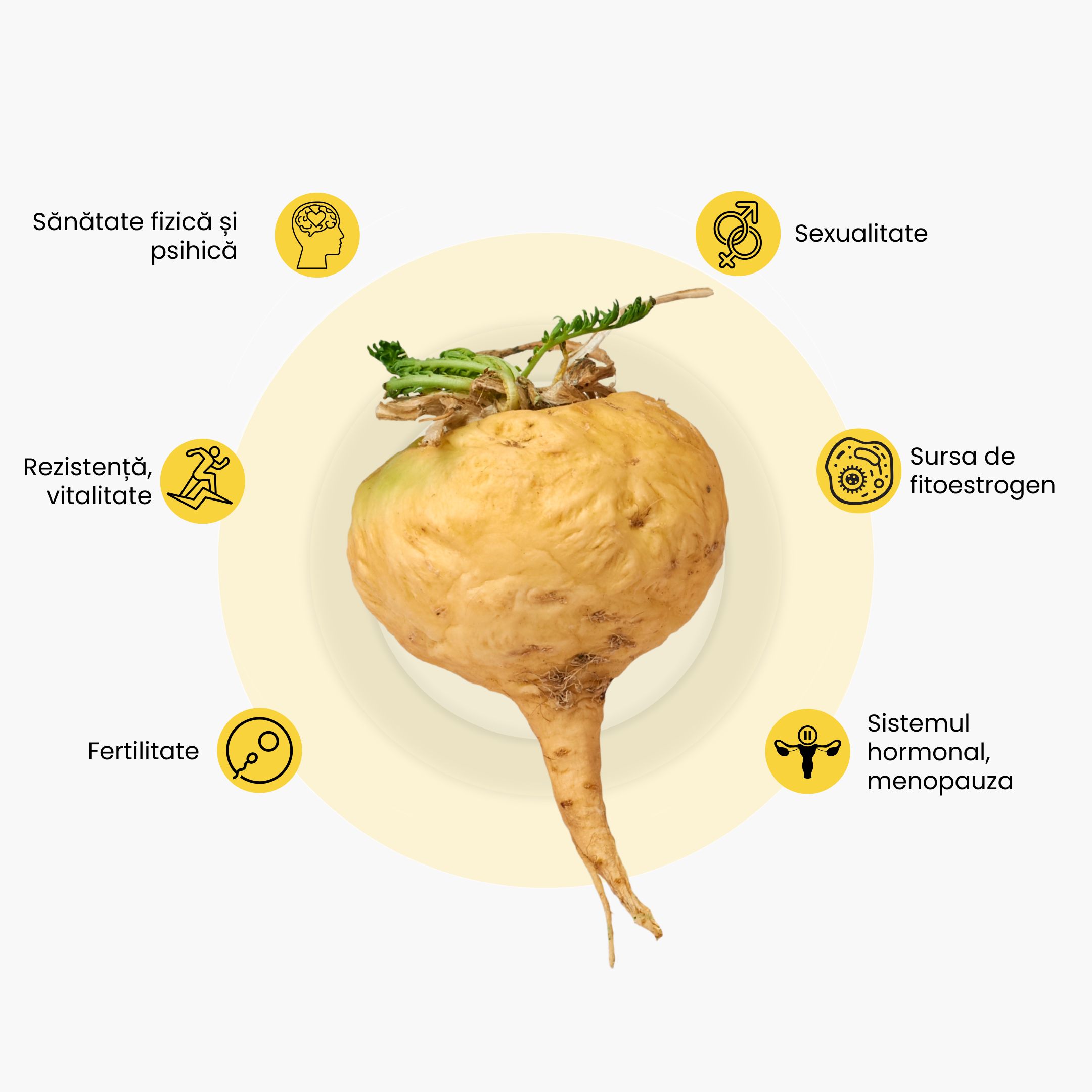 maca infografika