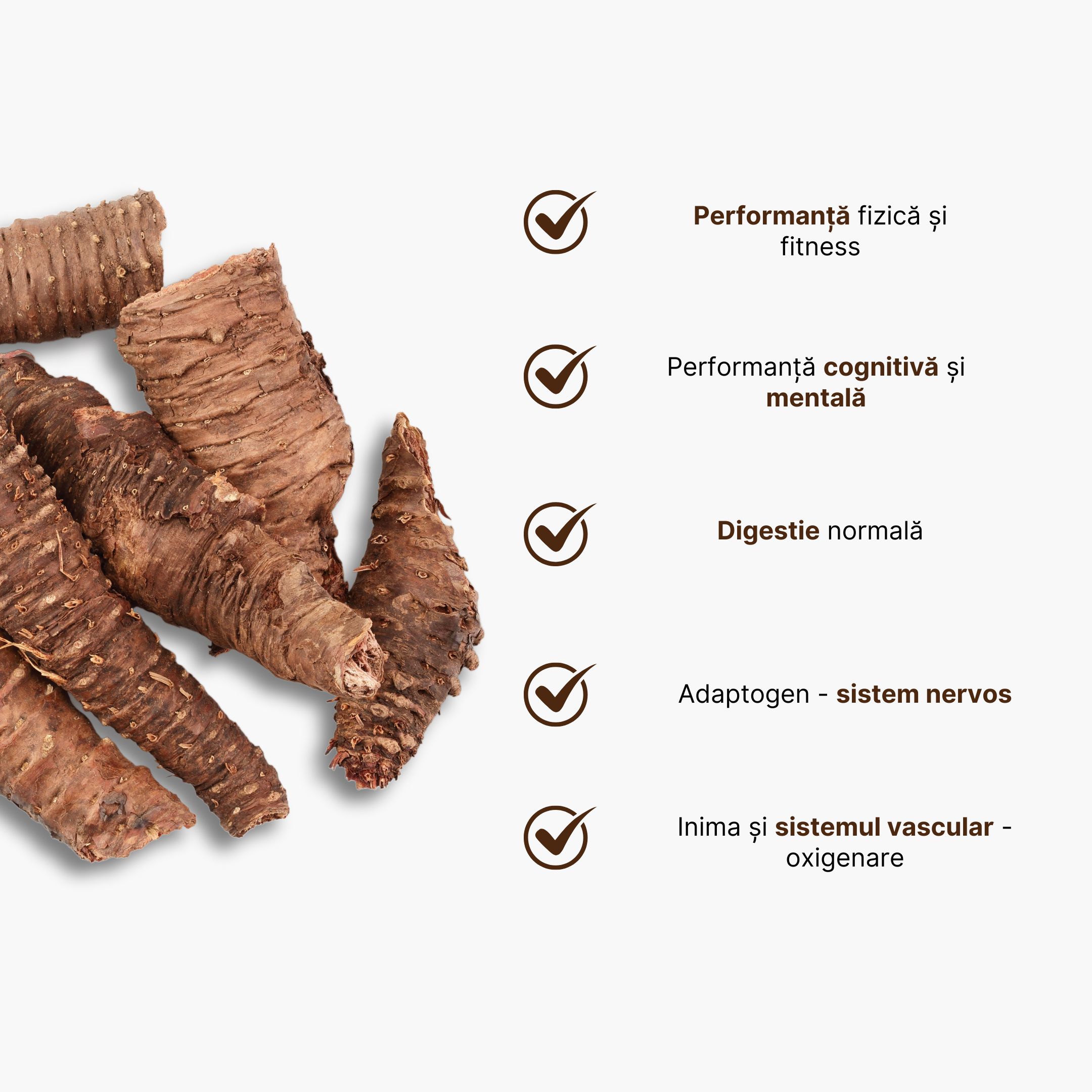 rhodiola rosea infografika