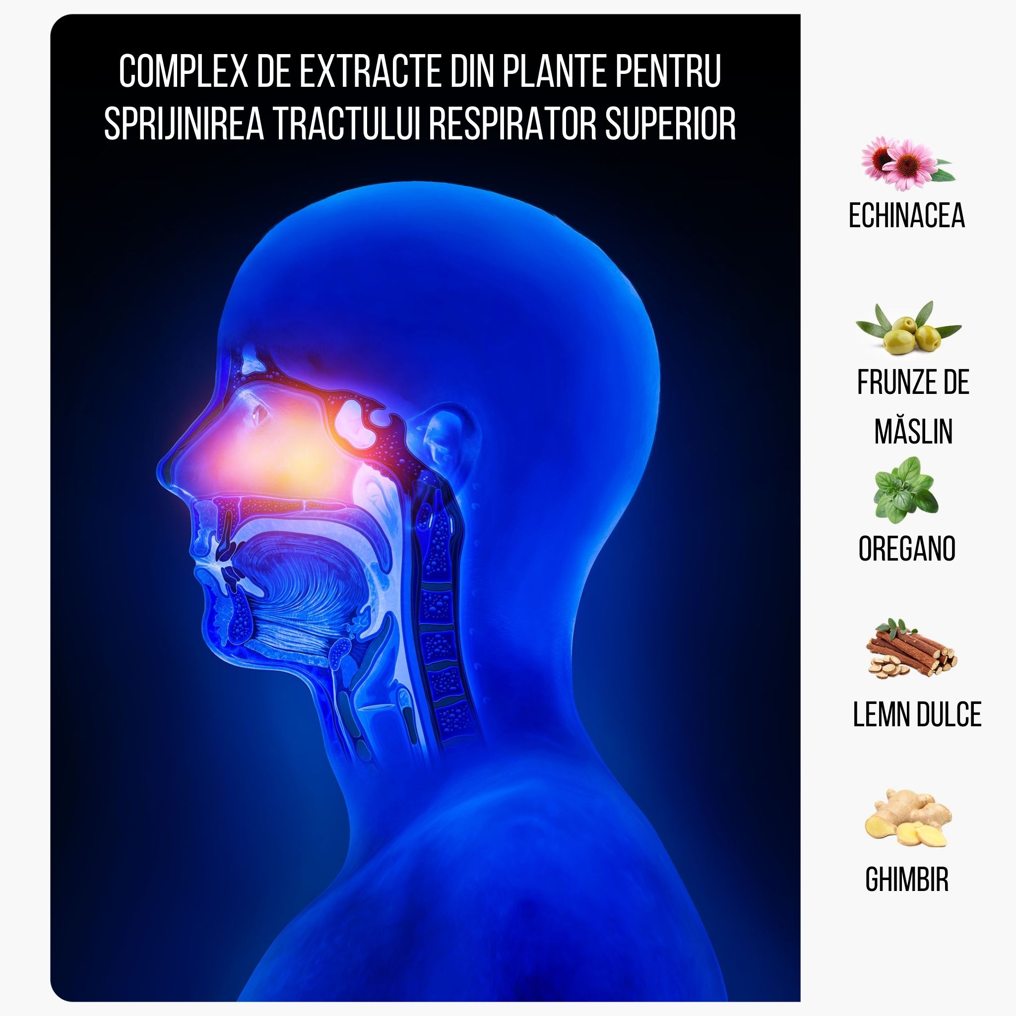 (Rumunština) bylinne extrakty