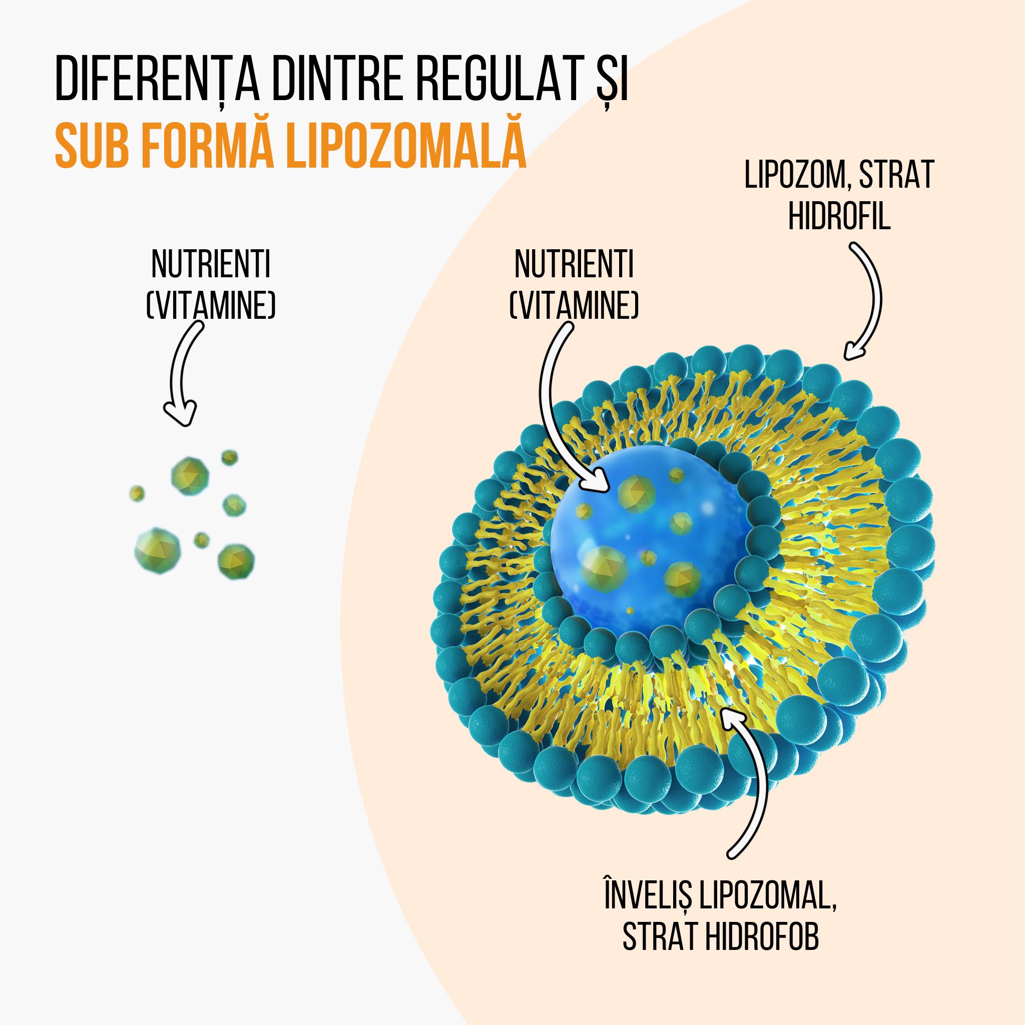 (Rumunština) lipo vs bezna forma