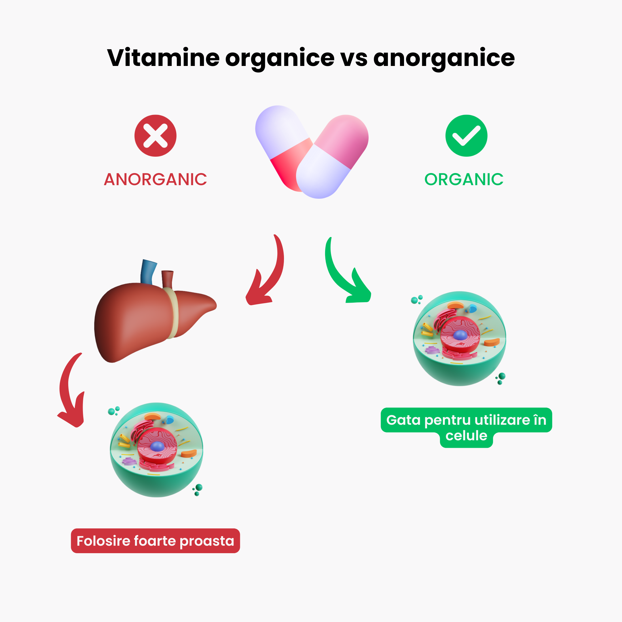 Prenatal organicke vitaminy