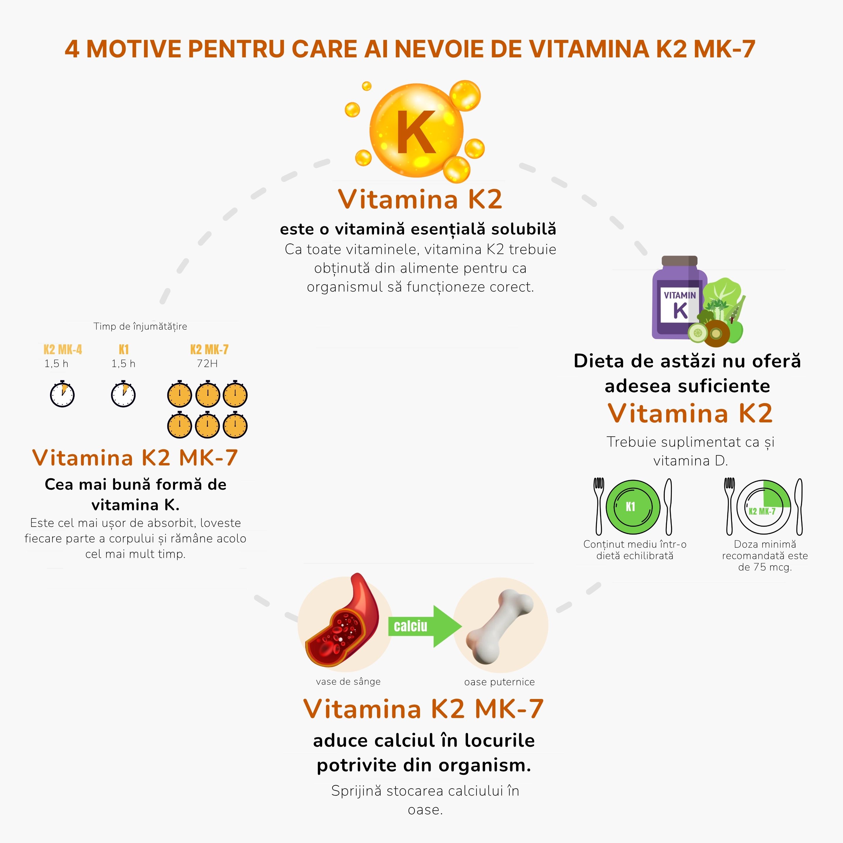 duvody proc uzivat vitamin K2 MK-7_inforgafika_cz