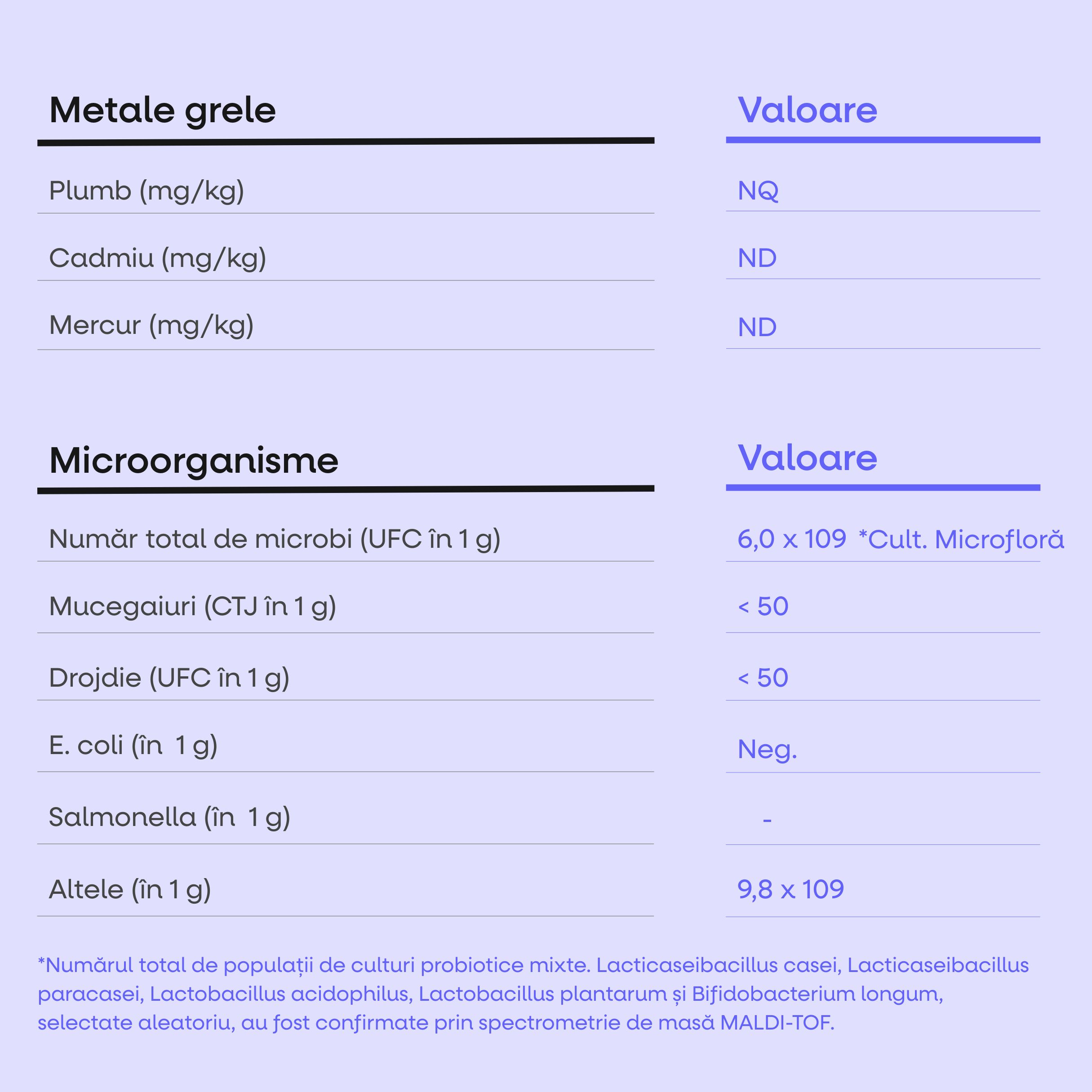 BrainMax Probiotic Complex (Probiotika), 60 enterosolventních kapslí