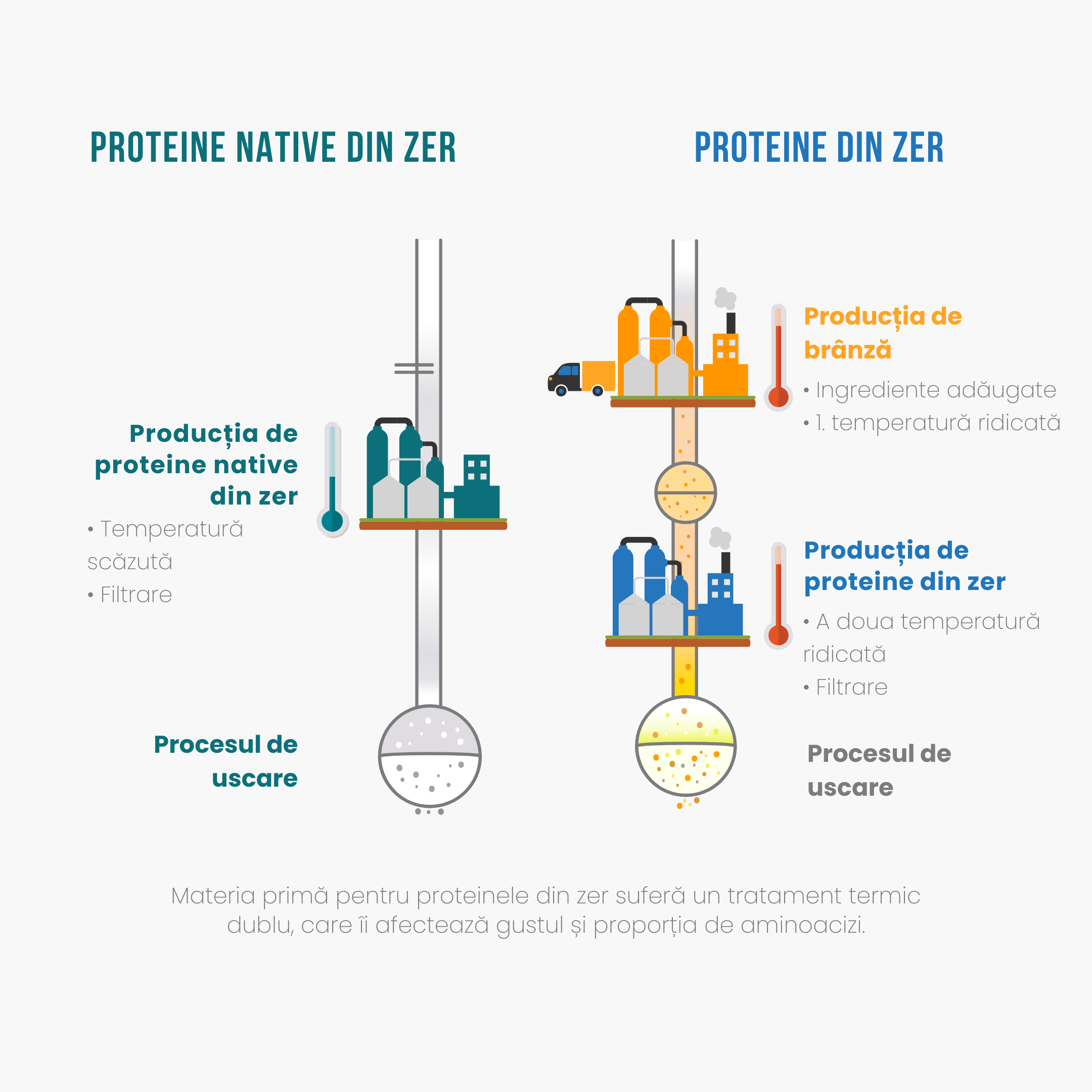 (Rumunčina) Vyroba proteinu_1