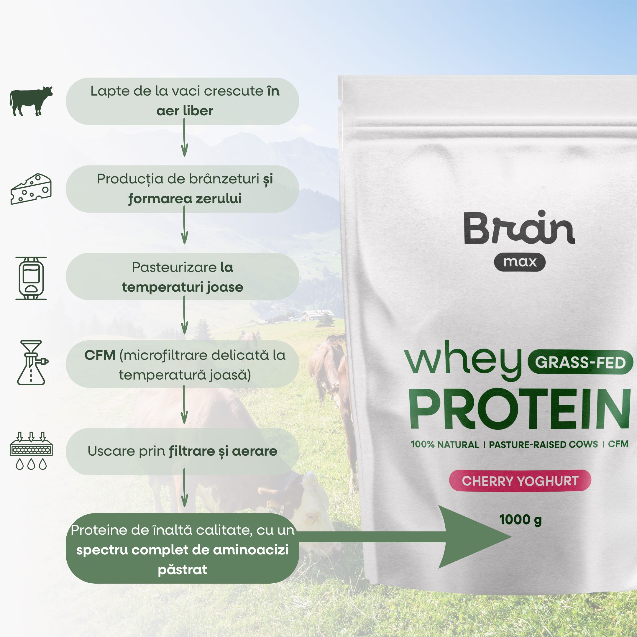 (Rumunština) (Slovenčina) KOKOS (2)