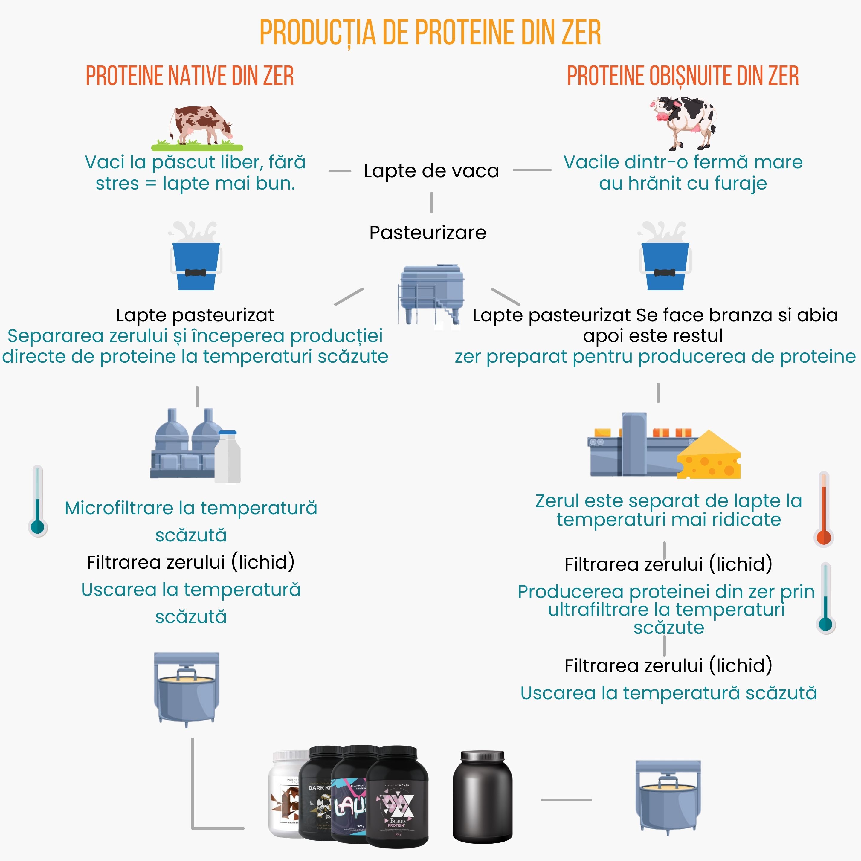 Vyroba proteinu_bez pozadi_cz