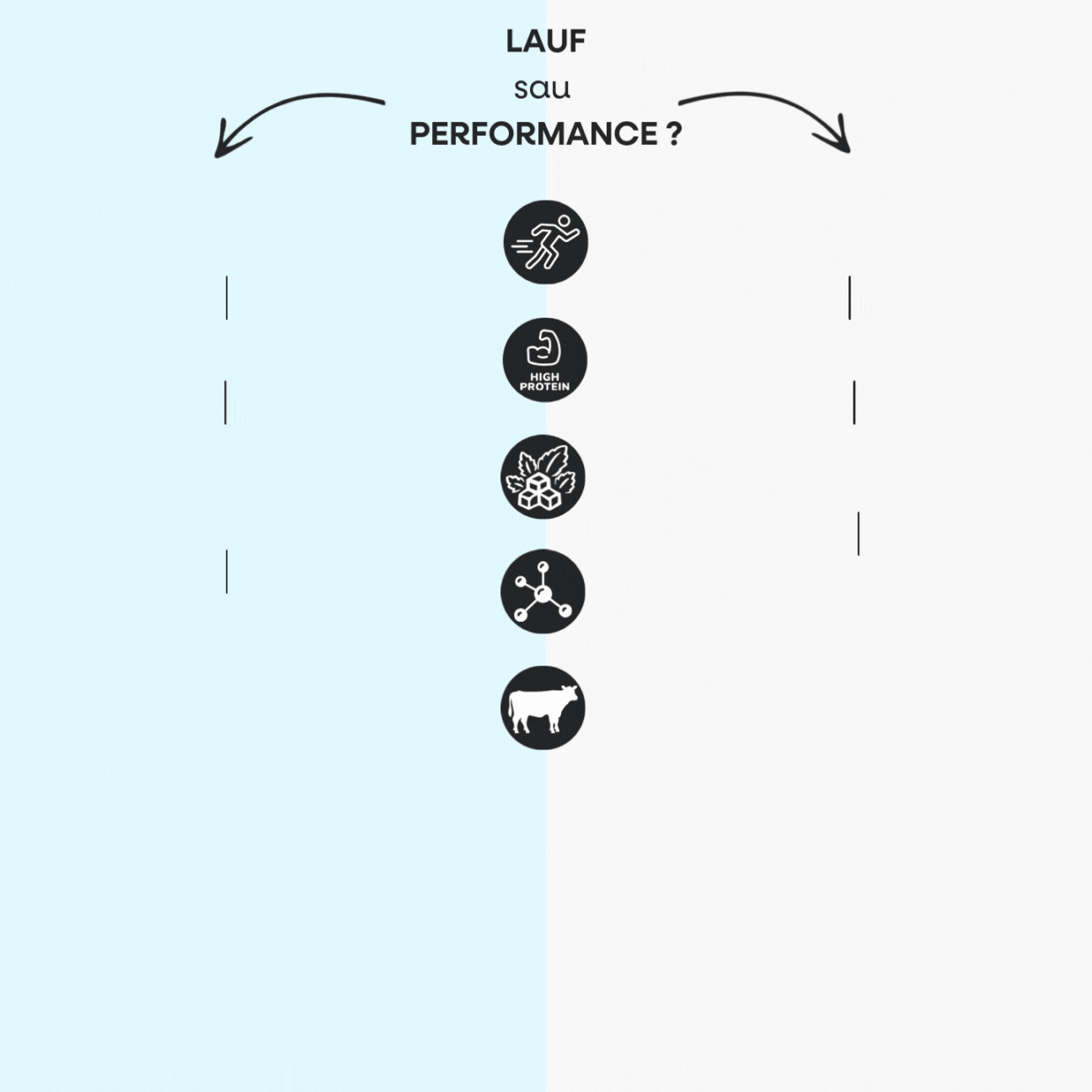 LAUF x Performance (1)