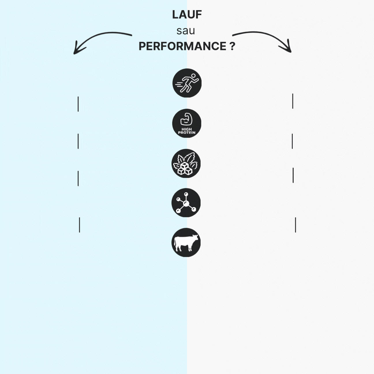 Performance srovnání