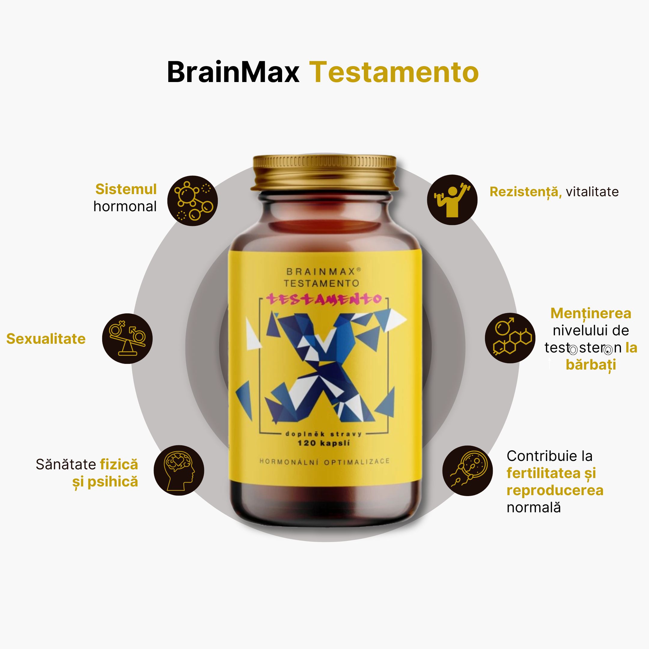 infografika testameno