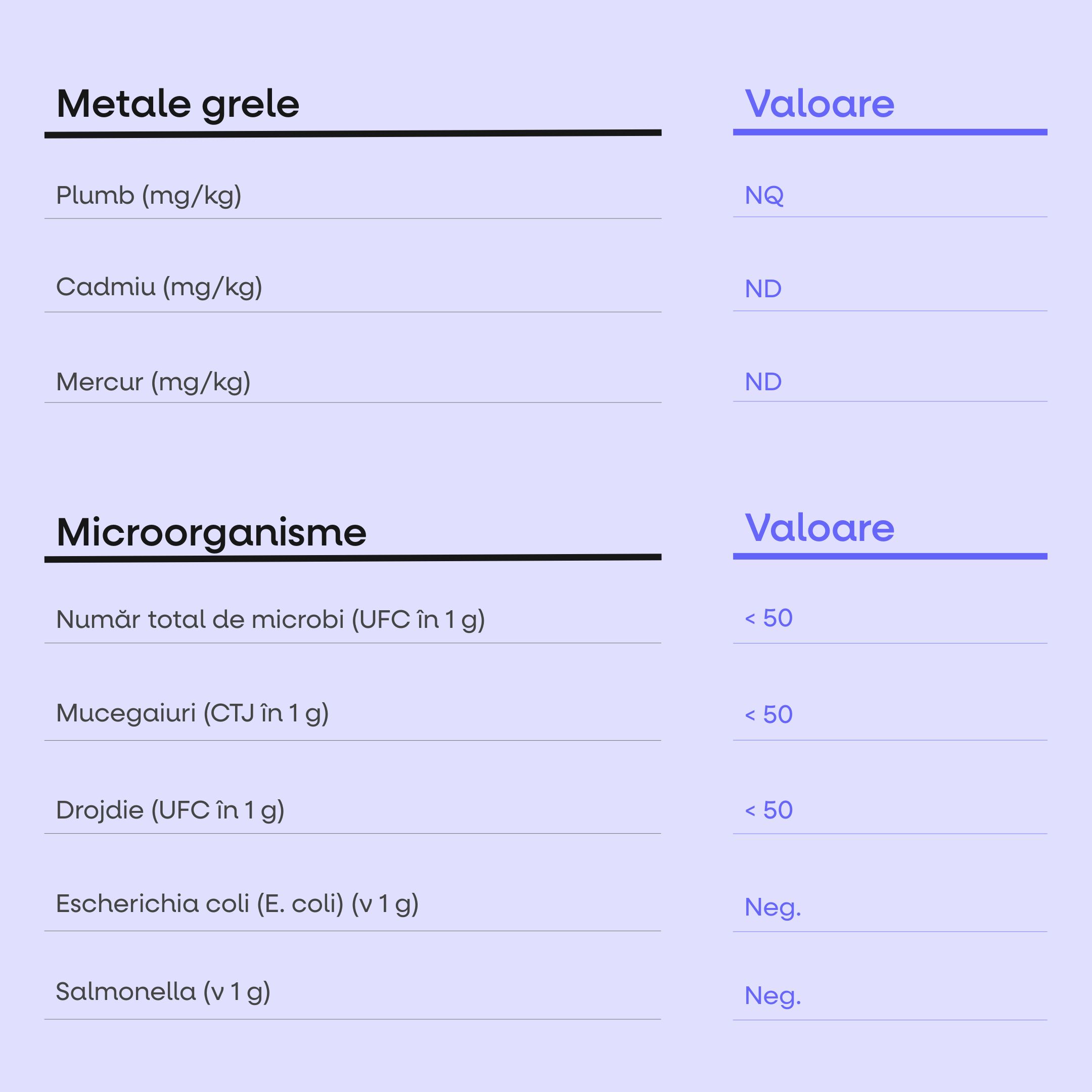 BrainMax 3.0 Anabolic Dagger, 320 g
