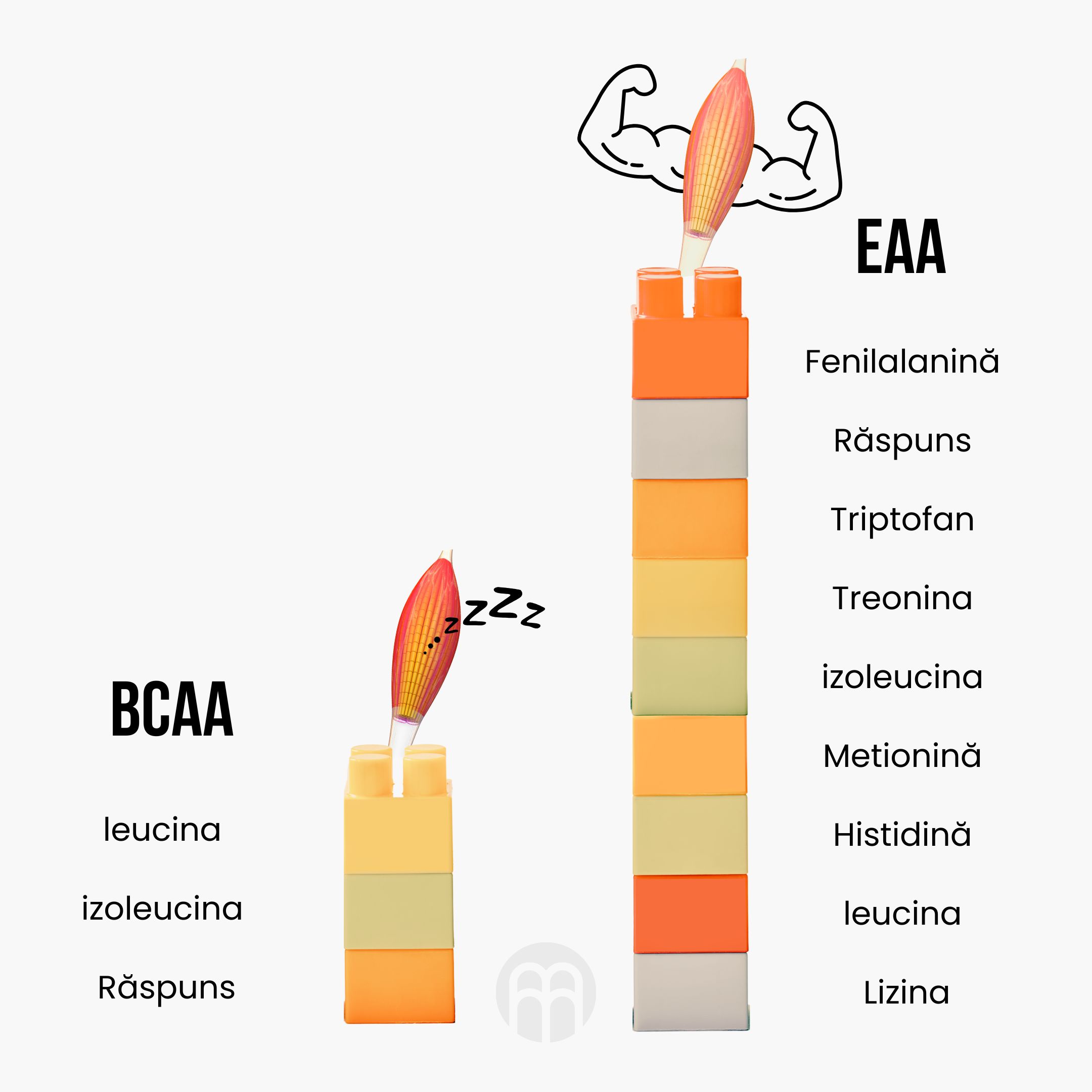 (Rumunština) BCAA vs EAA
