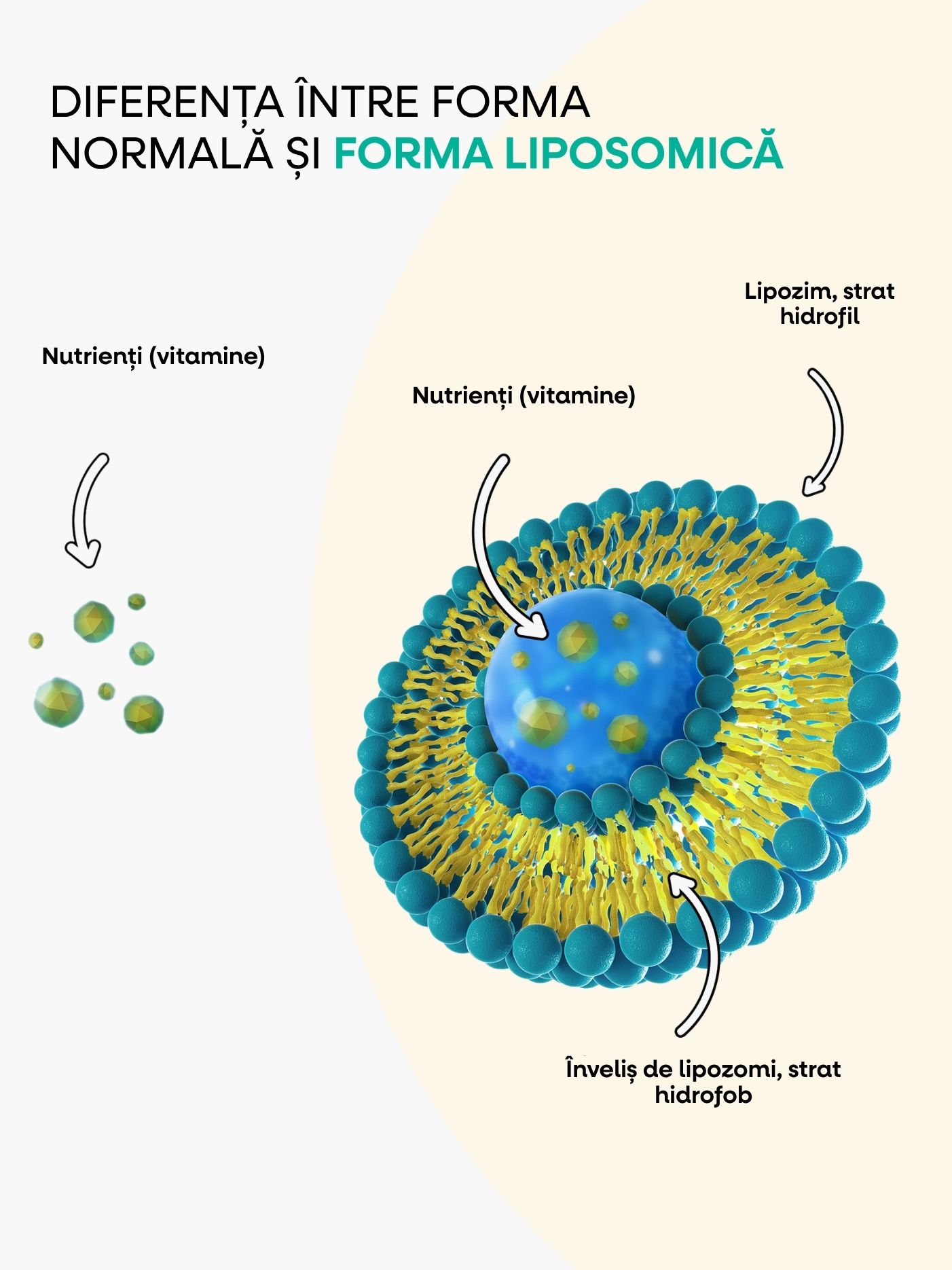 immunity kids produkt liposom2