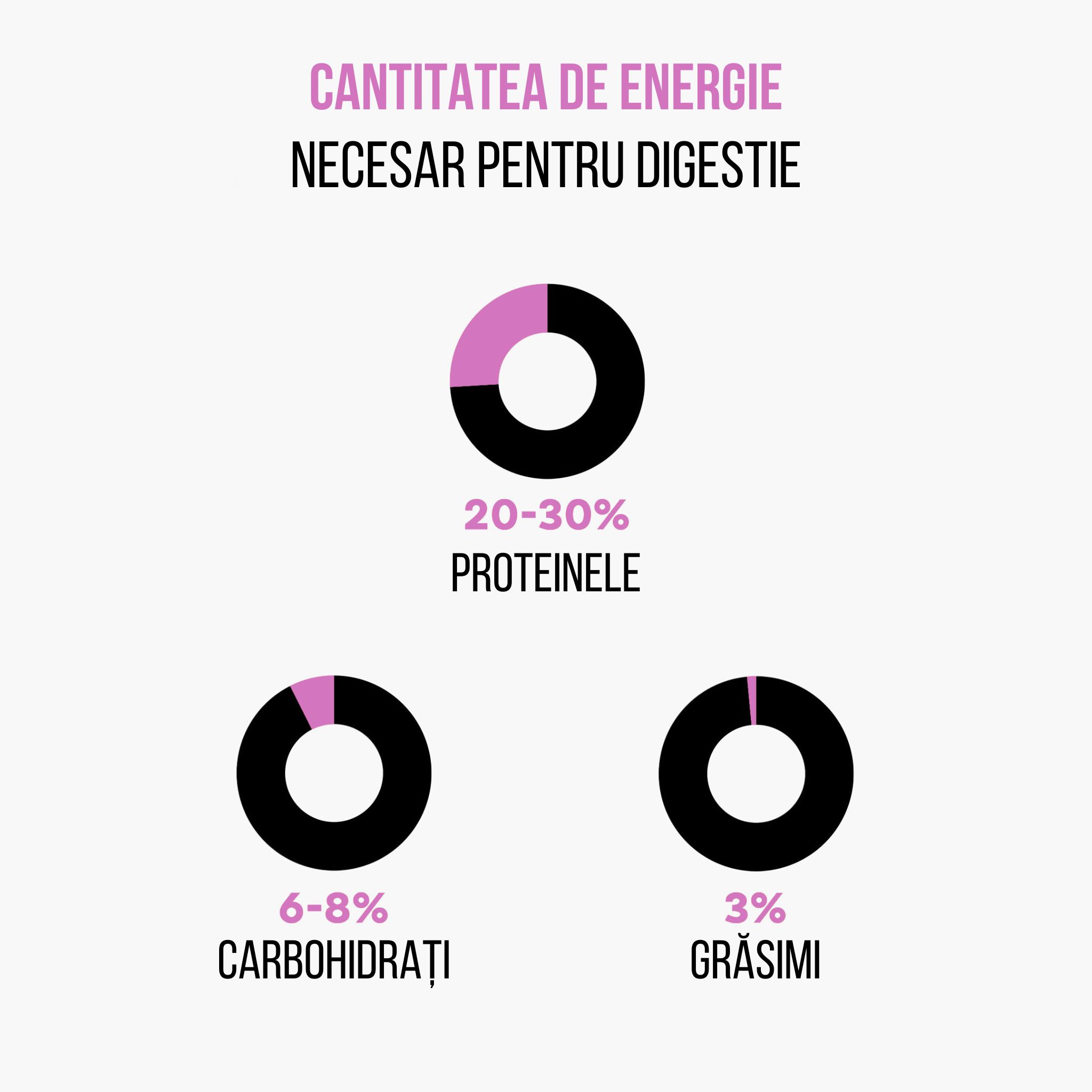 Zensky protein studie energie