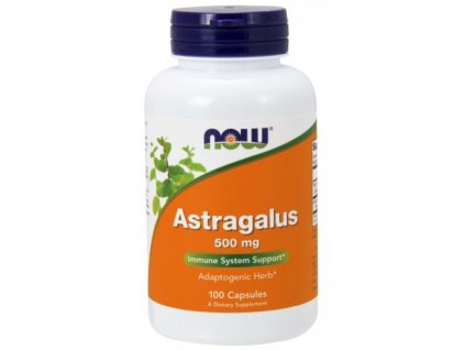 Astragalus 500 mg