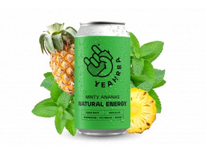 MINTY ANANAS plech
