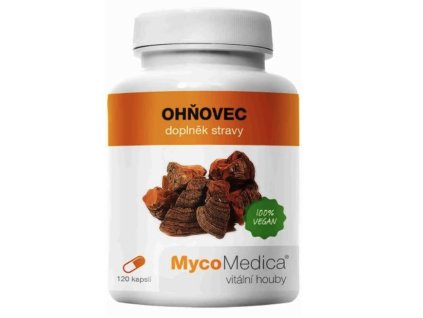 Snímek obrazovky 2025 01 22 v 14.42.56