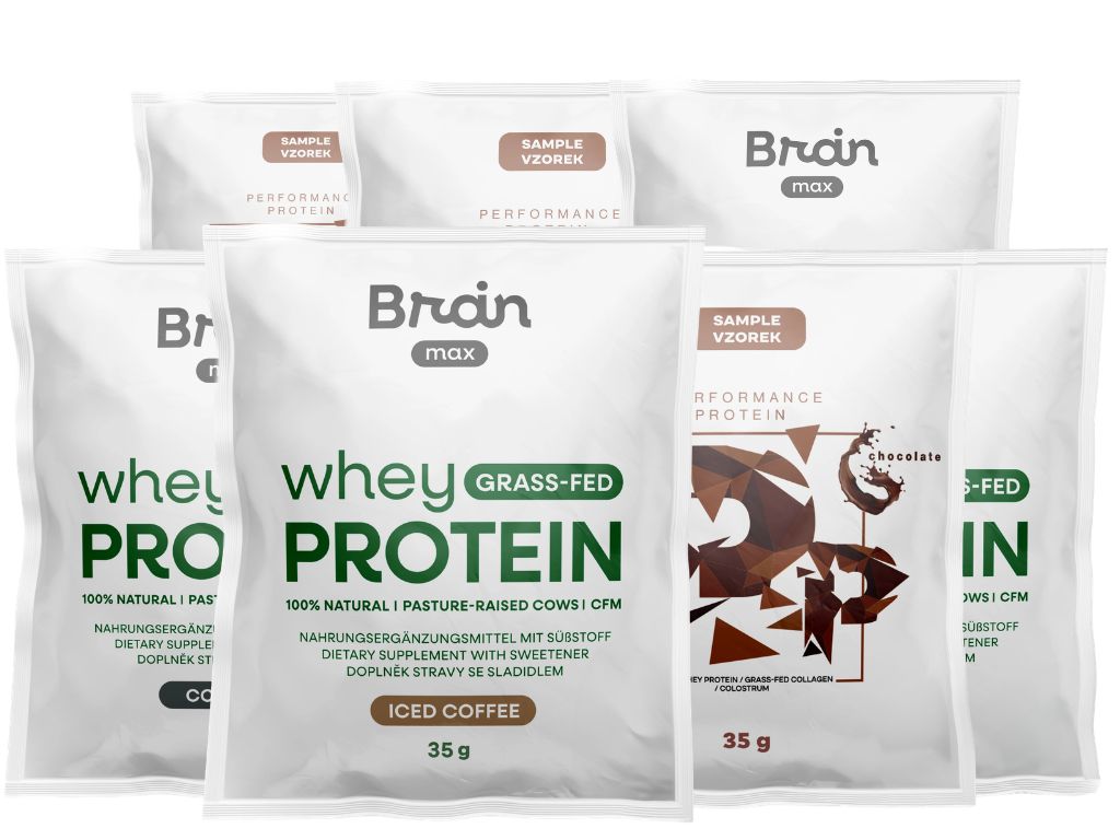 BrainMax Protein Taster Multipack