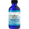 Nordic Naturals Childrens DHA 530mg Strawberry 119 ml