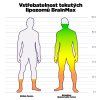 vstrebatelnost lipozomy brainmax