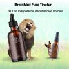 BrainMax Pure® Ashwagandha, sunătoare, tinctură 1:1, 100 ml