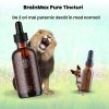 Tinctură de sunătoare BrainMax Pure®, 100 ml