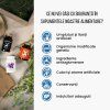 BrainMax Organic Psyllium, 800 mg, 200 capsule vegetale  Psyllium natural, obținut din tegumentul semințelor de pătlagină indiană / *Certificat CZ-BIO-001