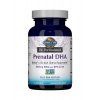 dr. formulated prenatal DHA 30 softgels 500x600