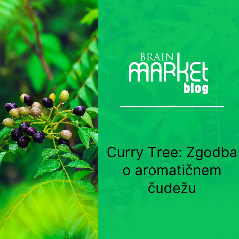 Kari drevo: Zgodba aromatičnega čudeža