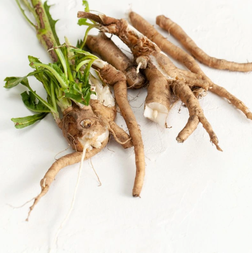 Cikorija: Rastlina, ki skriva več, kot bi pričakovali