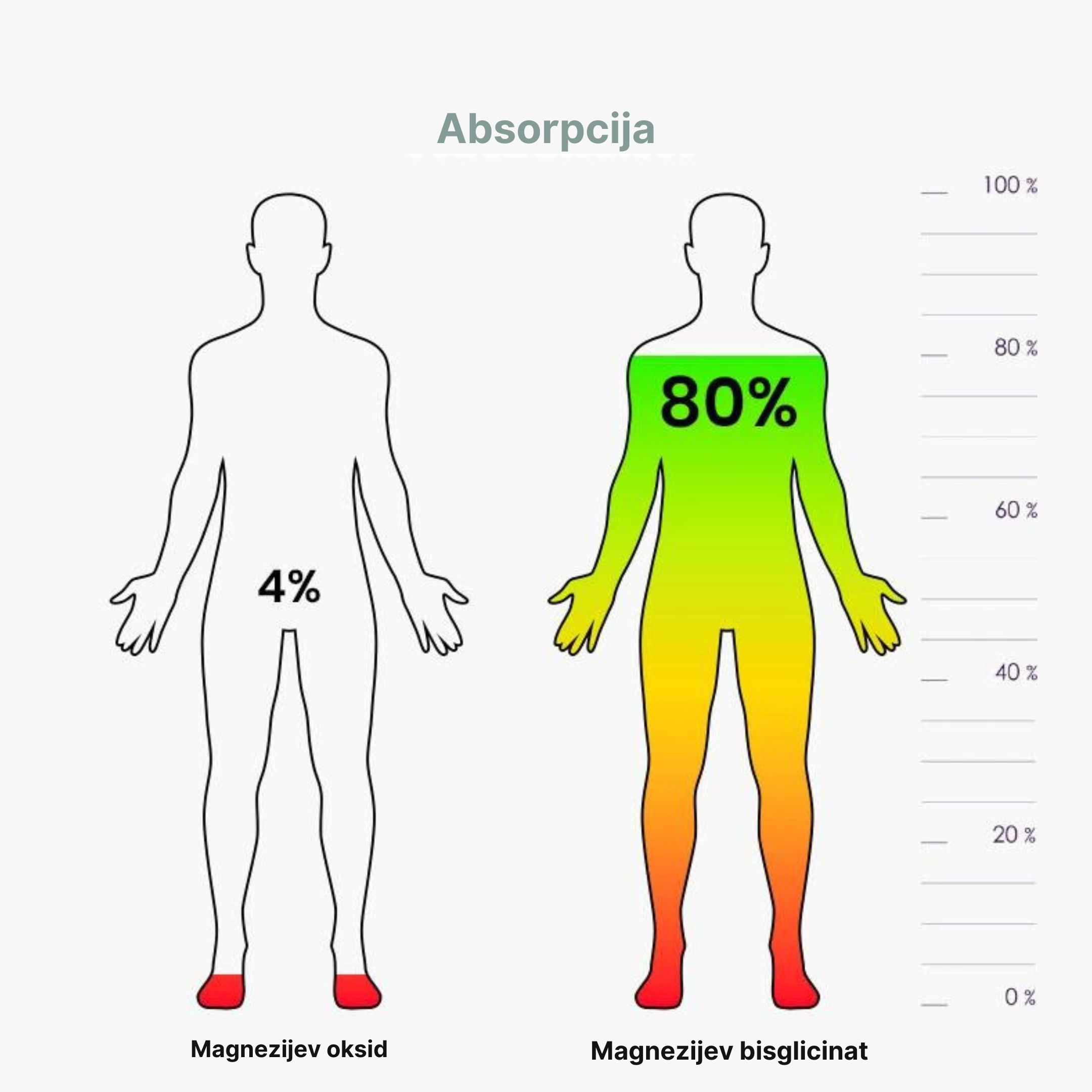 vstrebatelnost horciku