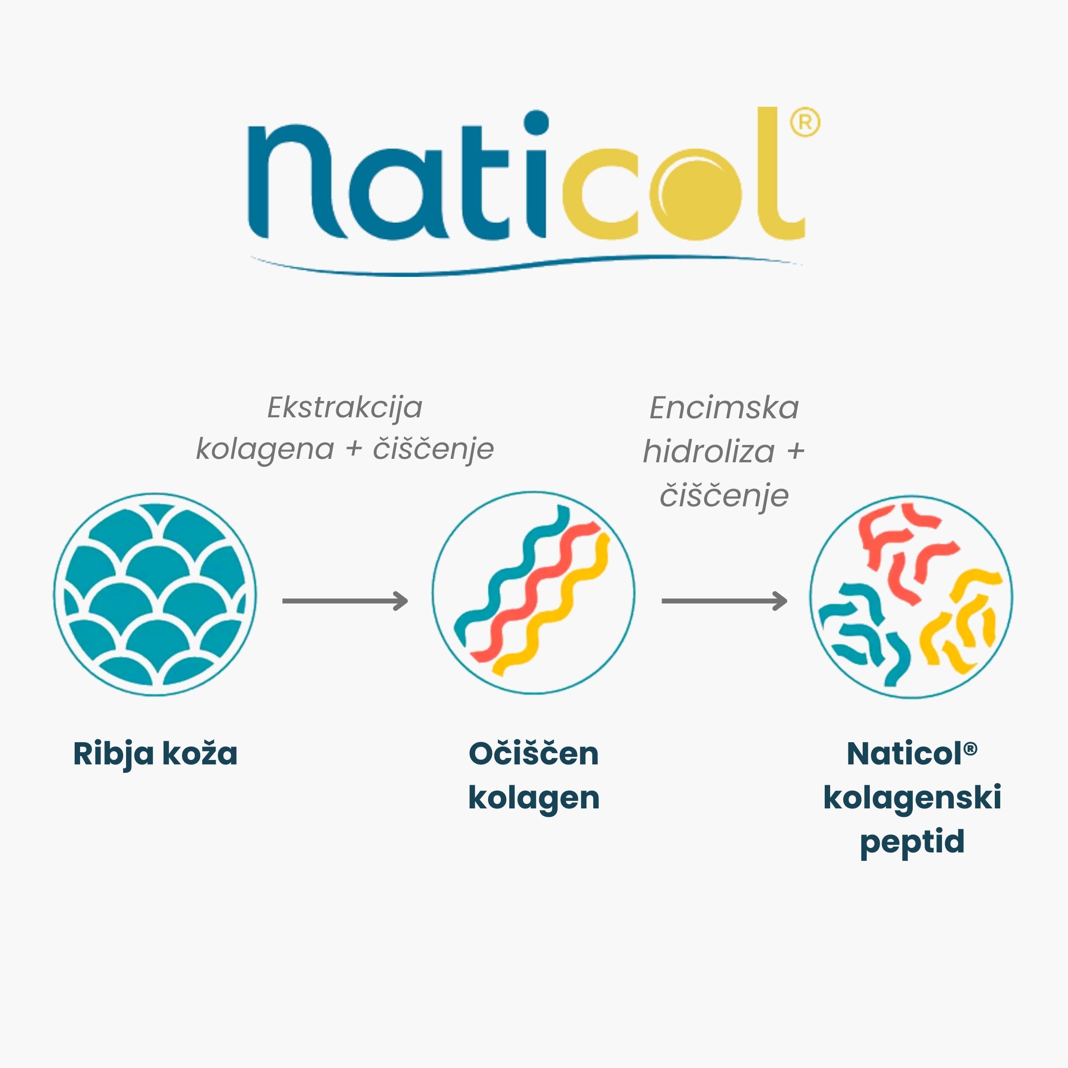(Slovinština) Naticol