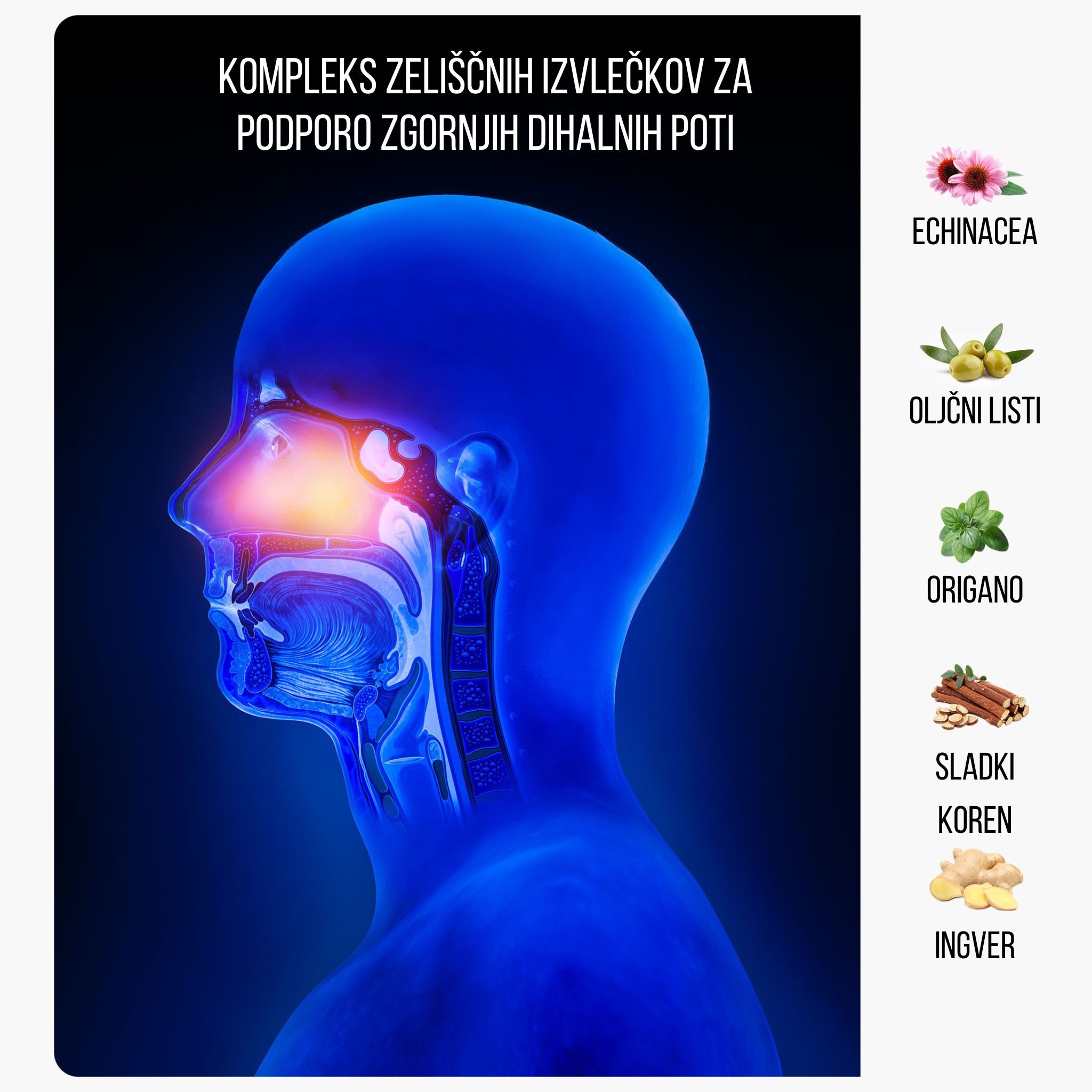 (Slovinština) bylinne extrakty