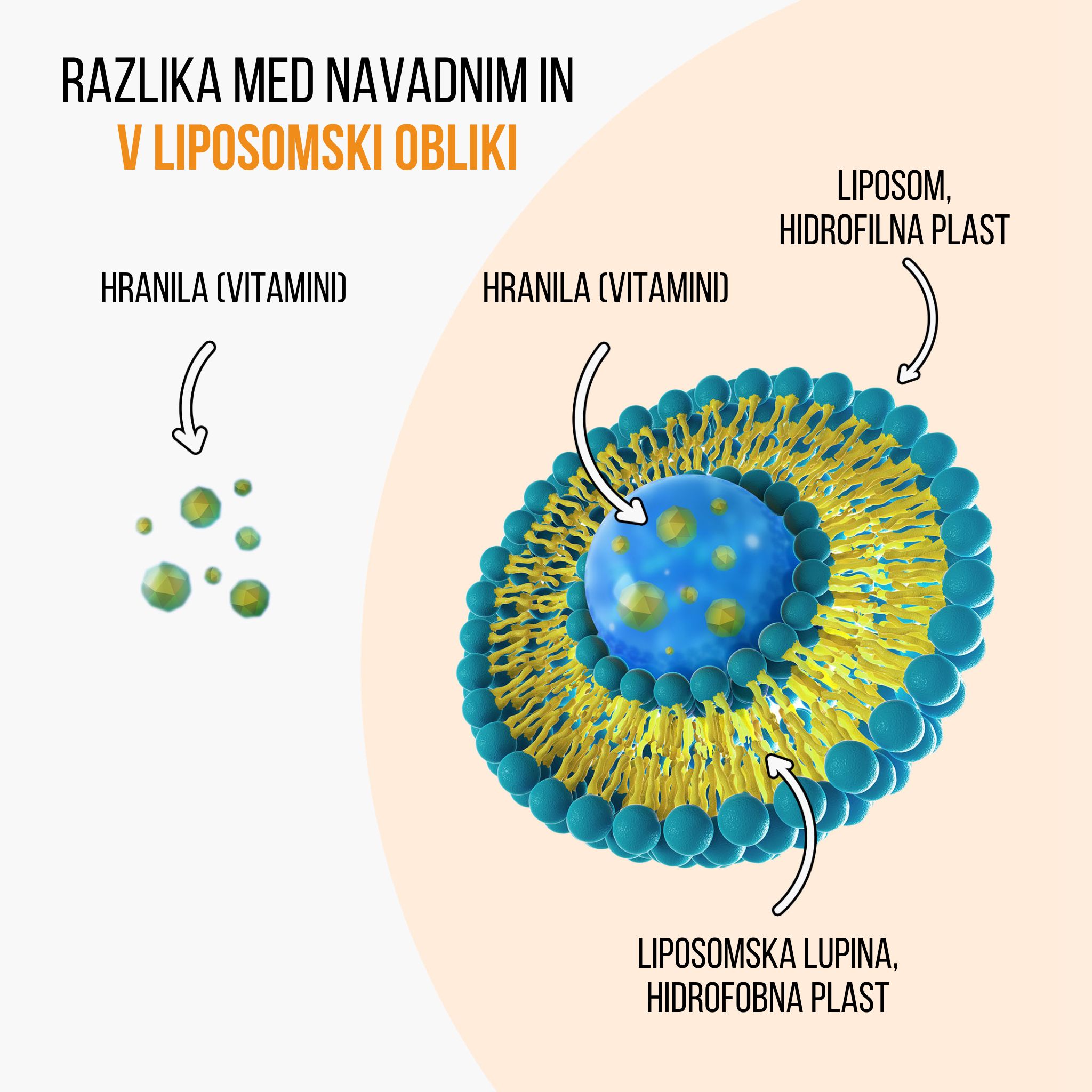 (Slovinština) lipo vs bezna forma