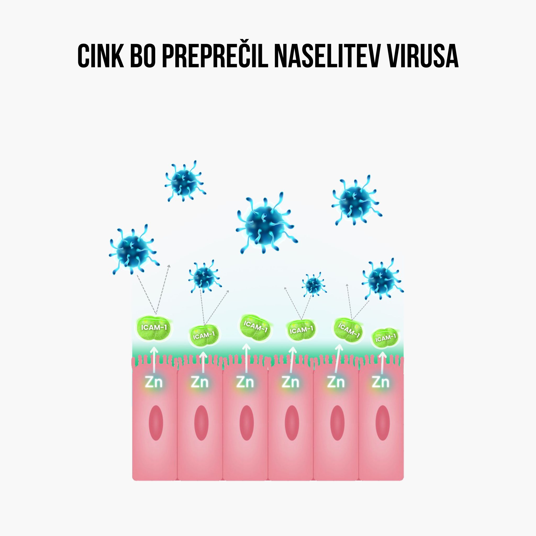 (Slovinština) zinek usazeni viru