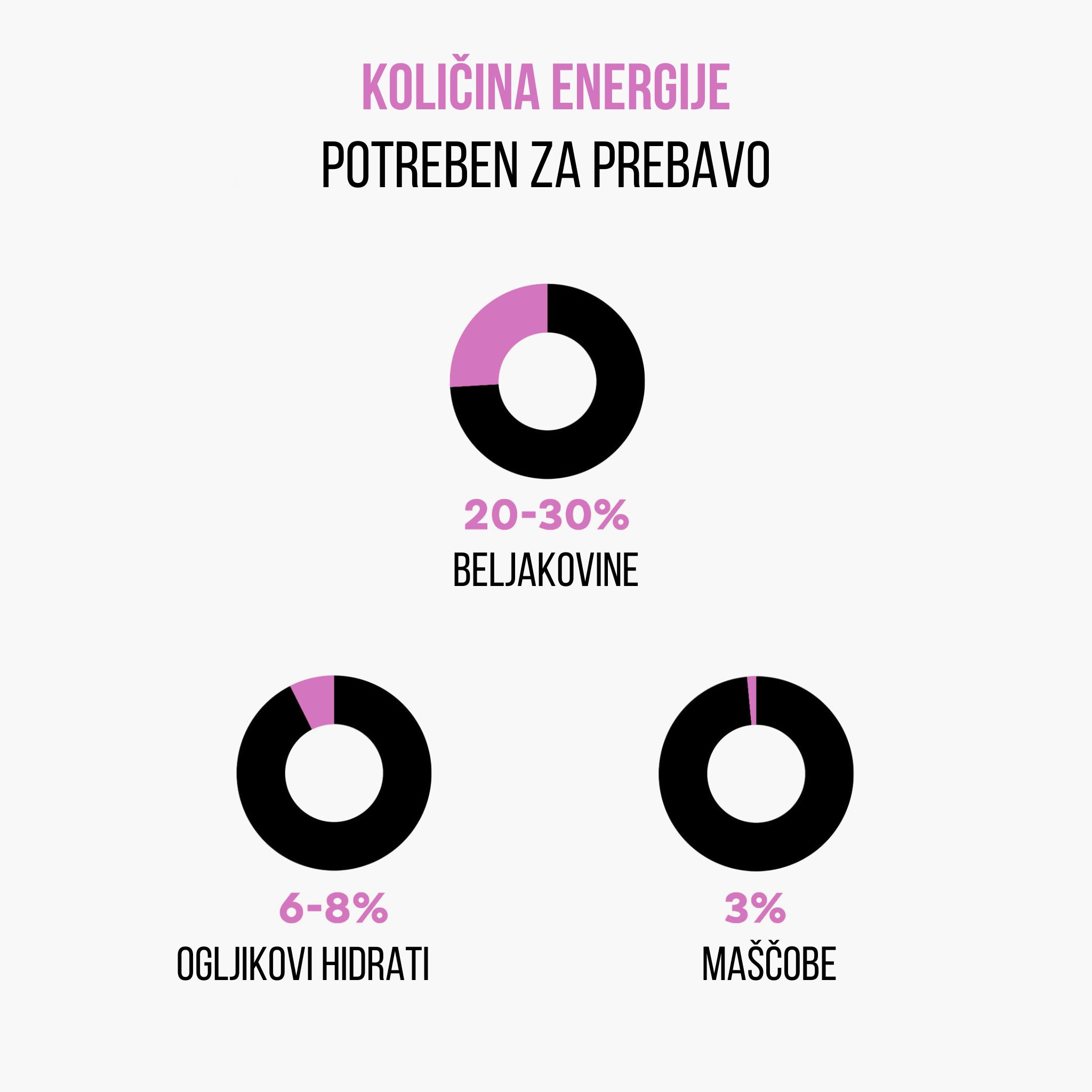(Slovinština) - 2024-11-16T162518.102