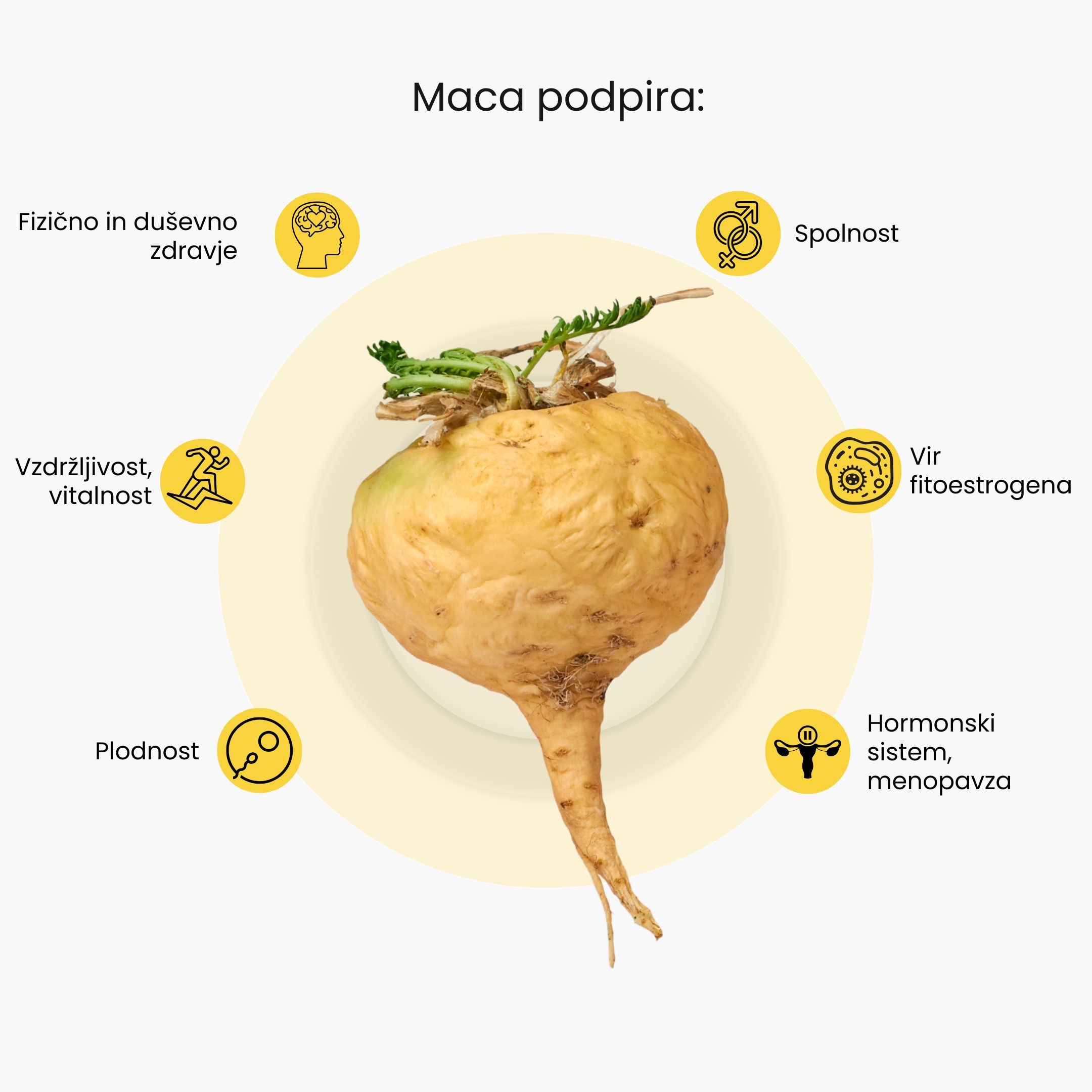maca infografika
