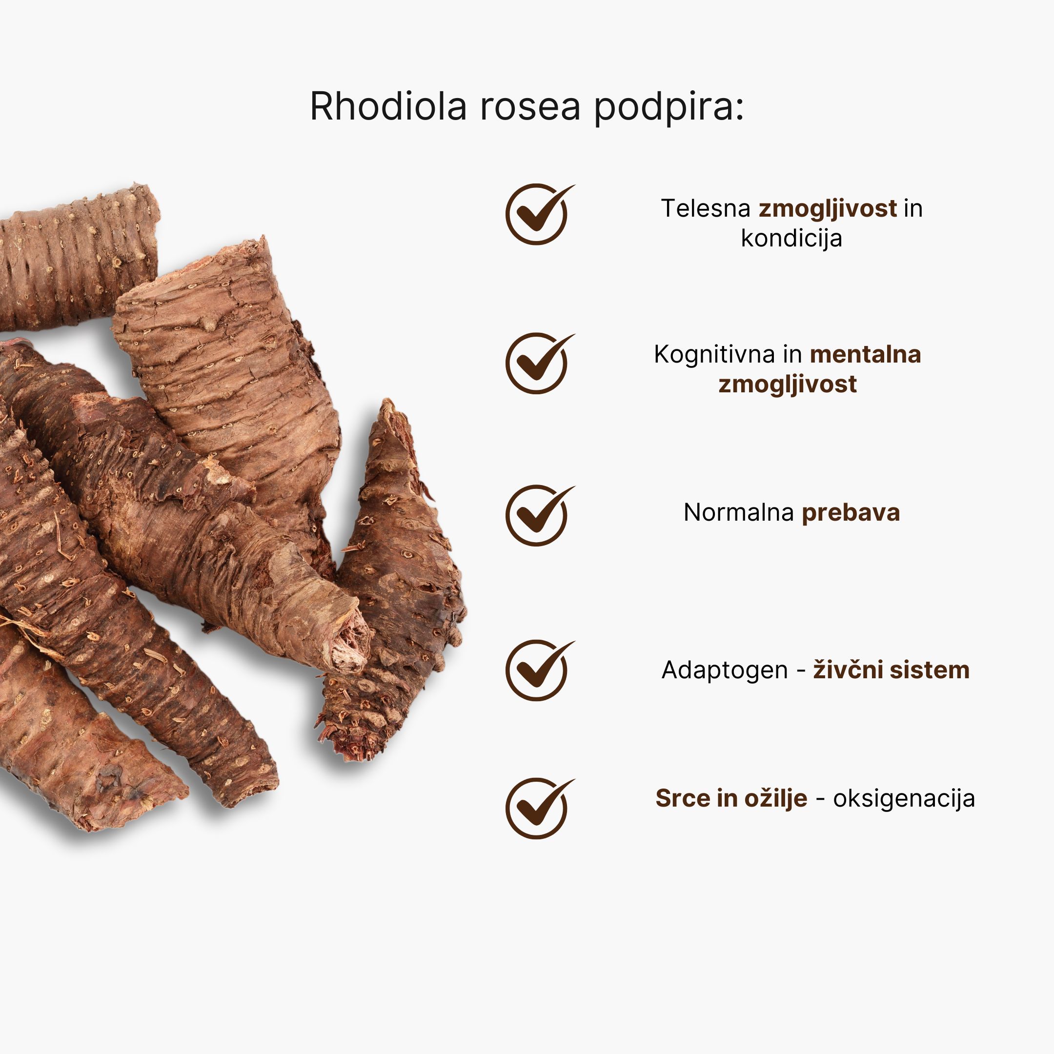rhodiola rosea infografika