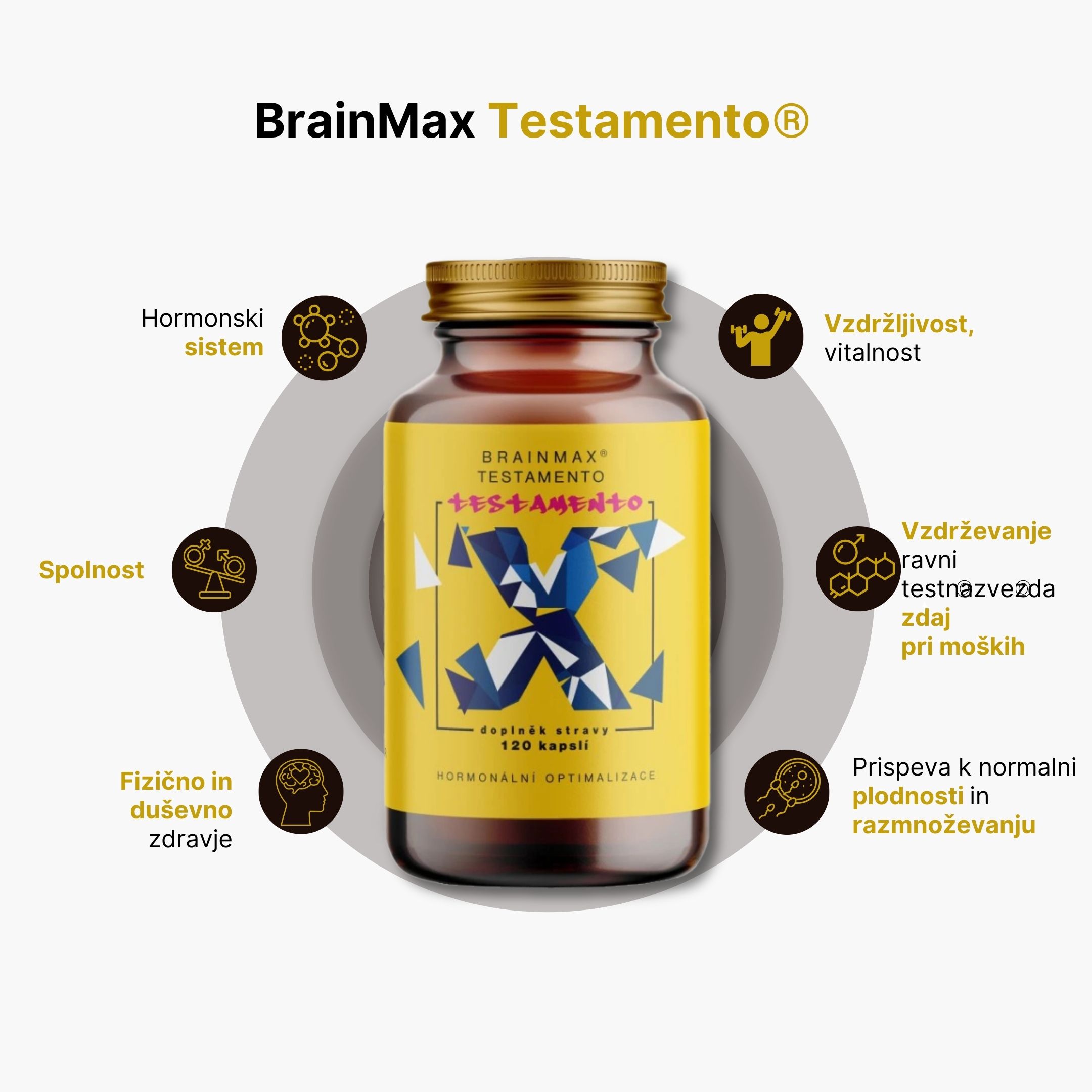 infografika testameno