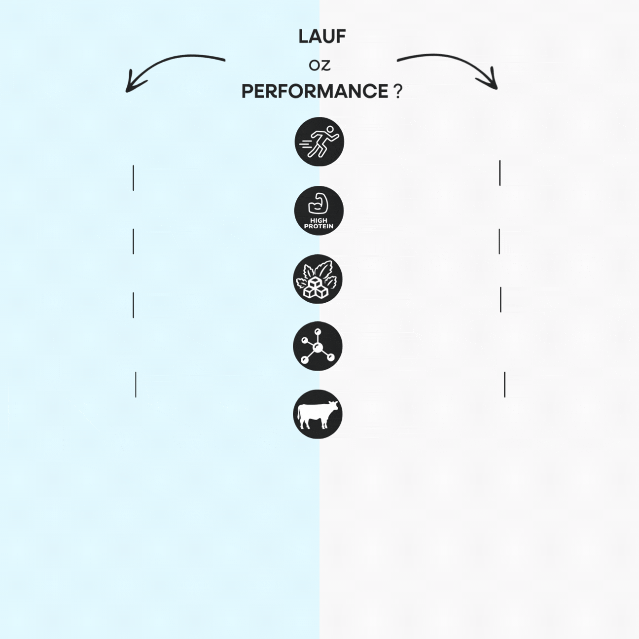 LAUF x Performance oprava