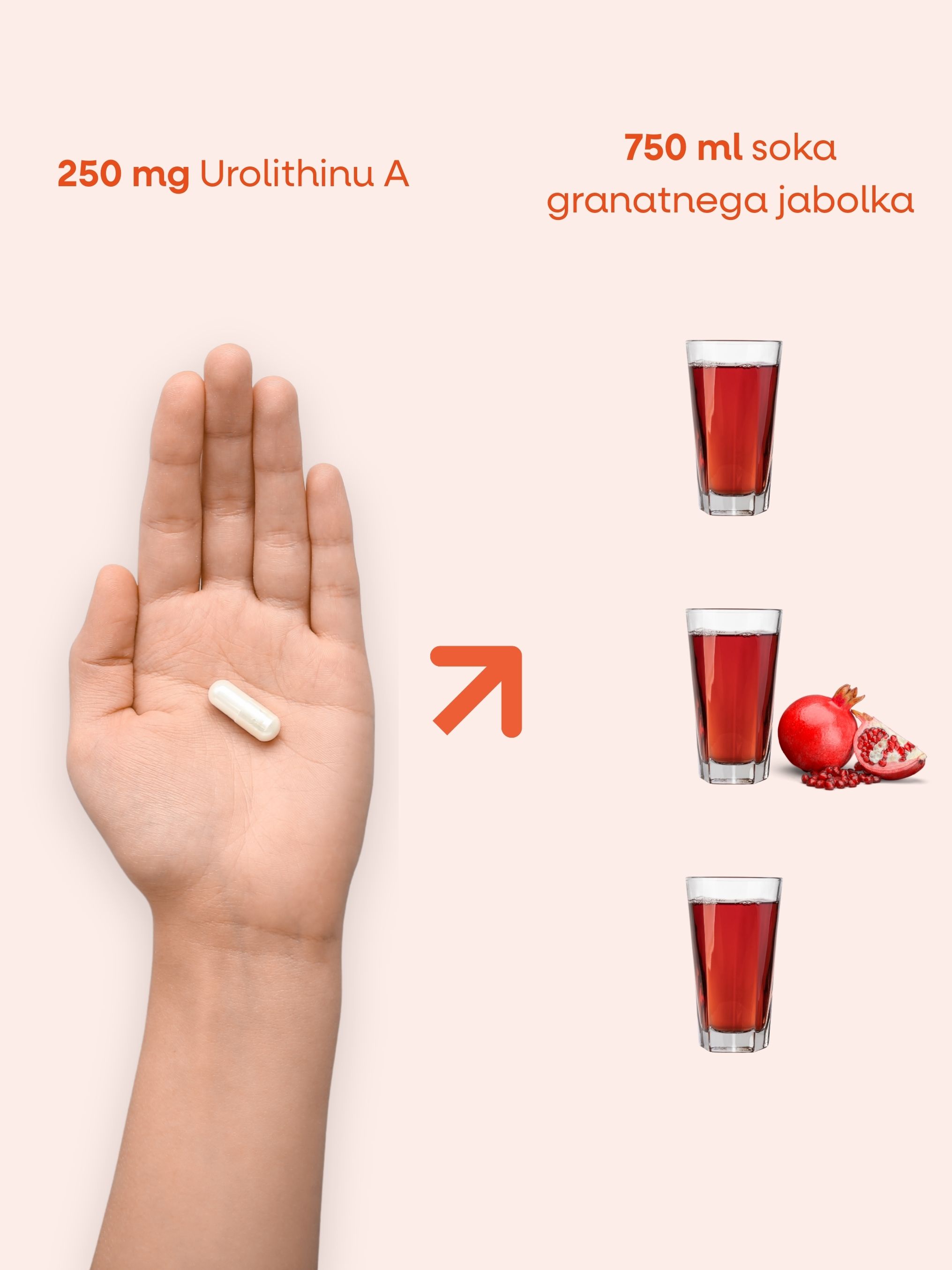 (Slovinština)_8