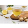 BrainMax Pure Sencha Ginger & Spices, Sencha z ingverjem in začimbami, BIO, 50 g  *Certifikat CZ-BIO-001 / zeleni čaj z ingverjem in mešanico začimb