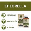 chlorella