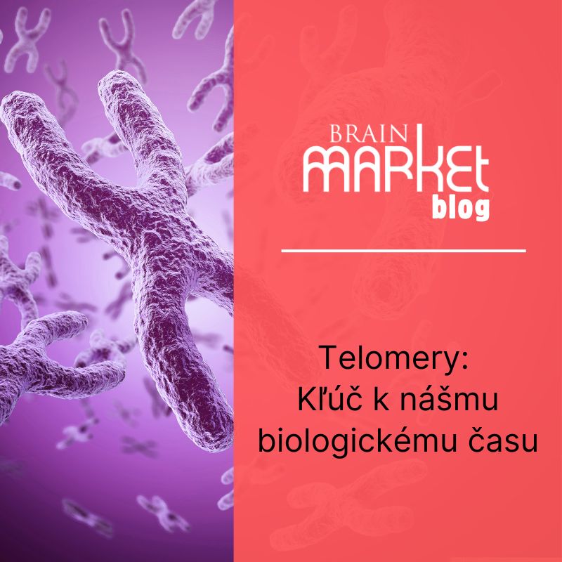 Teloméry: Kľúč k nášmu biologickému času